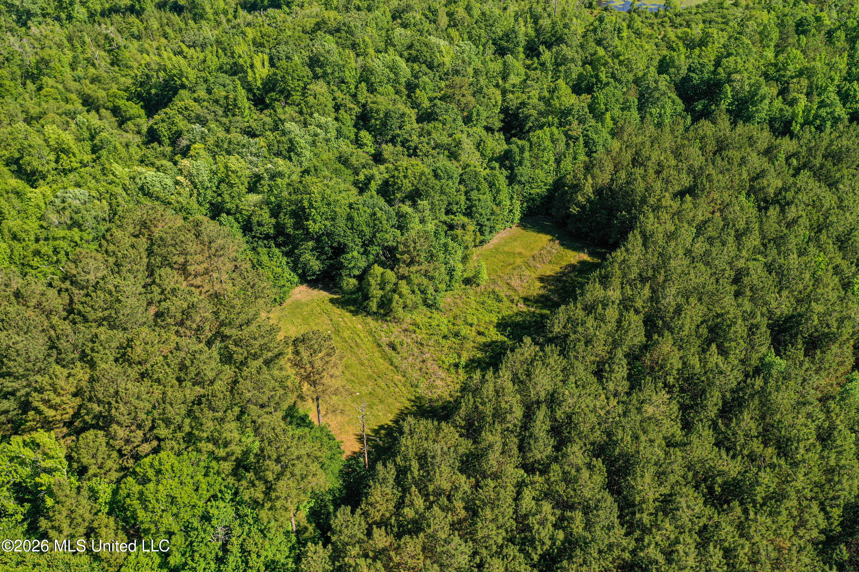 Triplett Property Photo 27