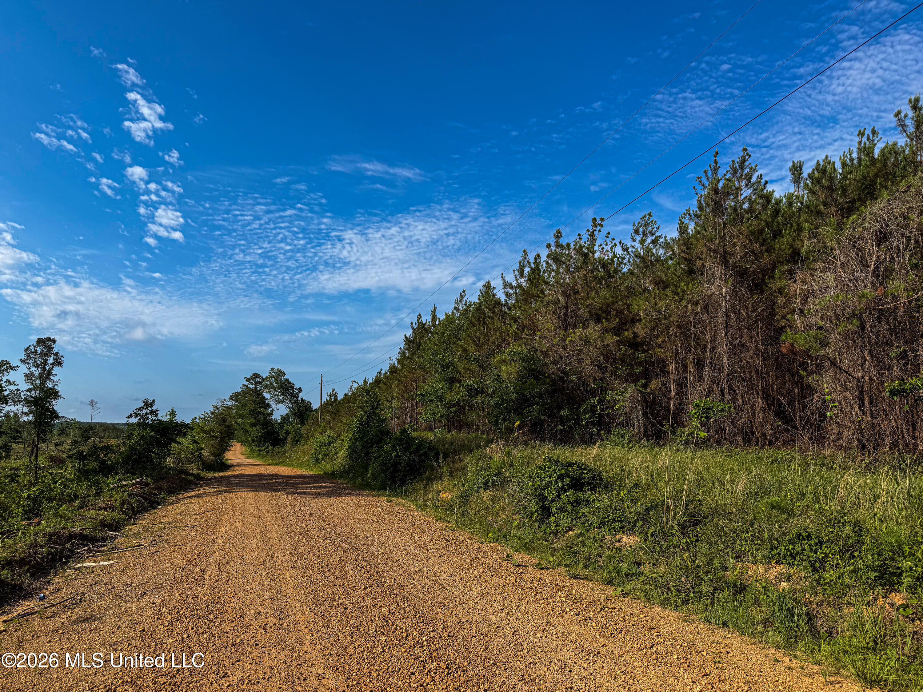 Triplett Property Photo 28