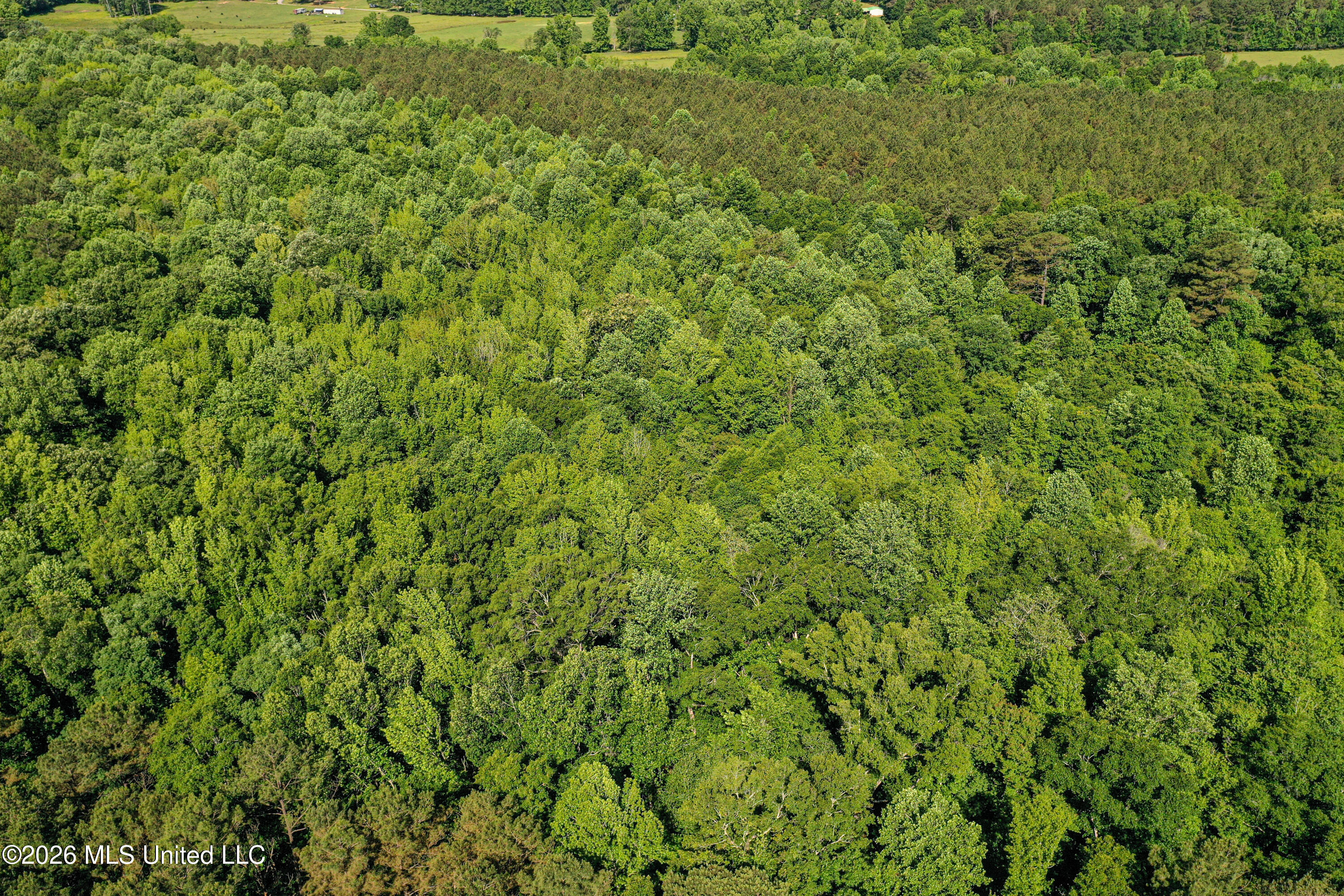 Triplett Property Photo 29