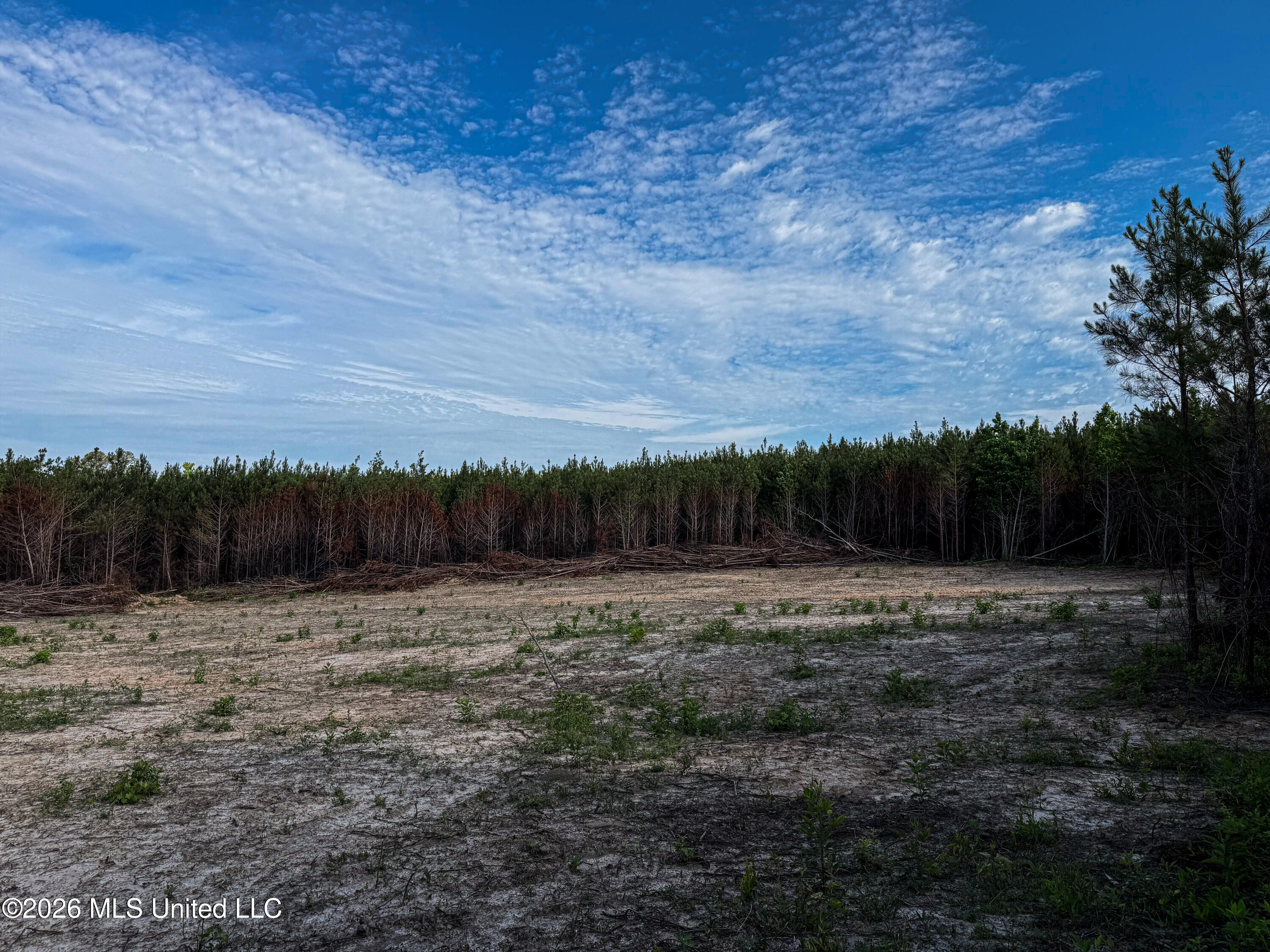 Triplett Property Photo 30