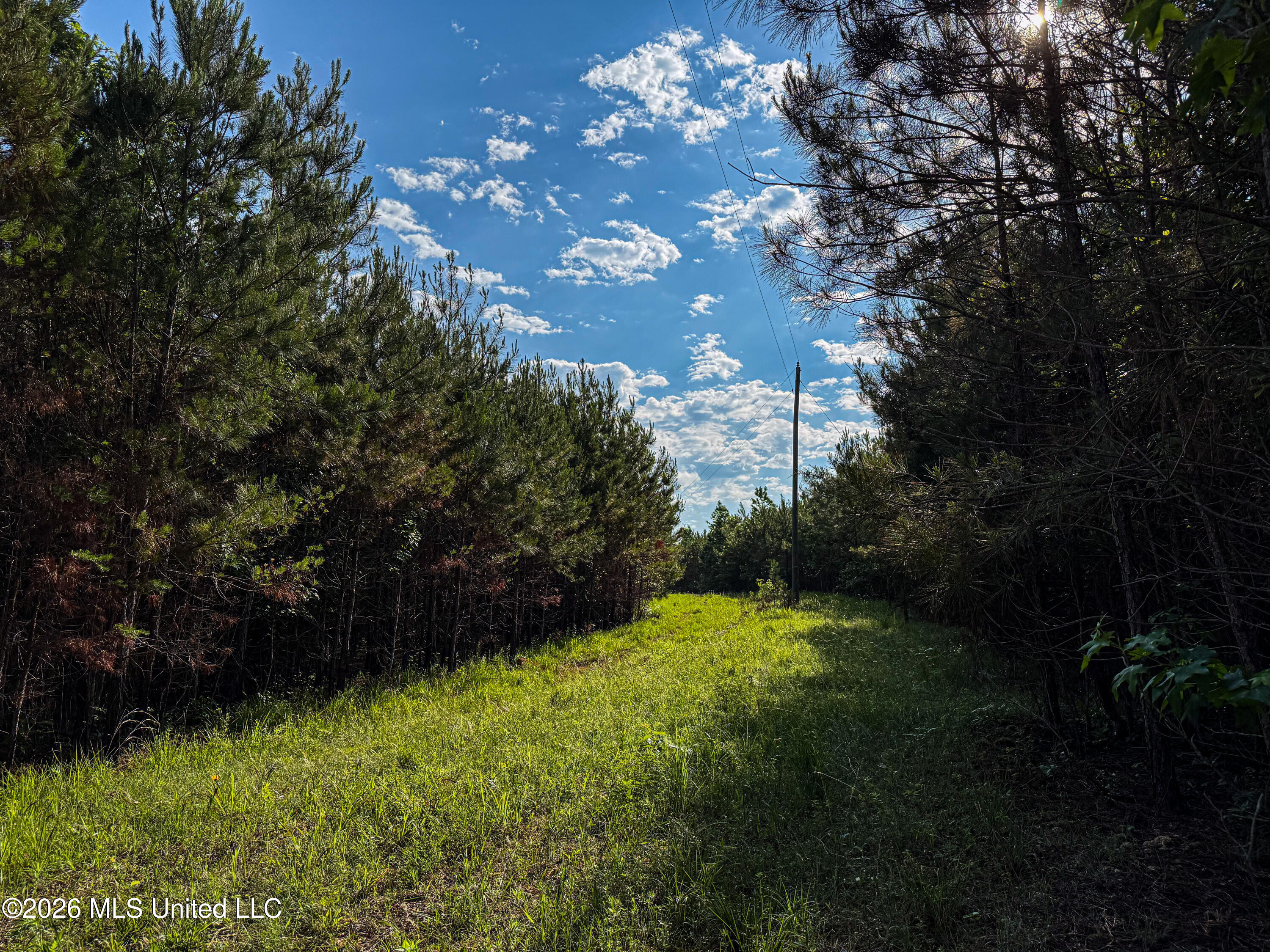 Triplett Property Photo 32