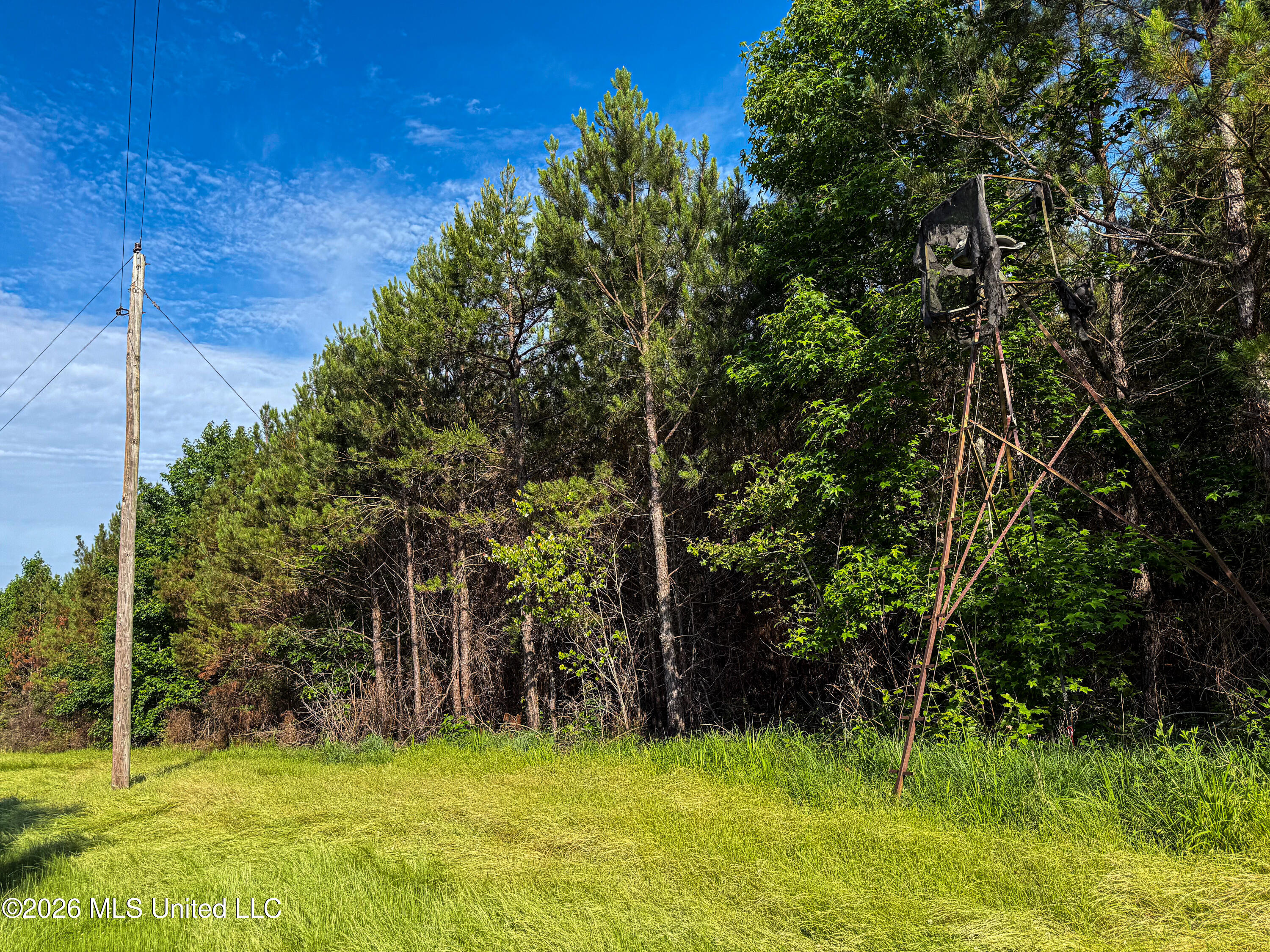 Triplett Property Photo 34