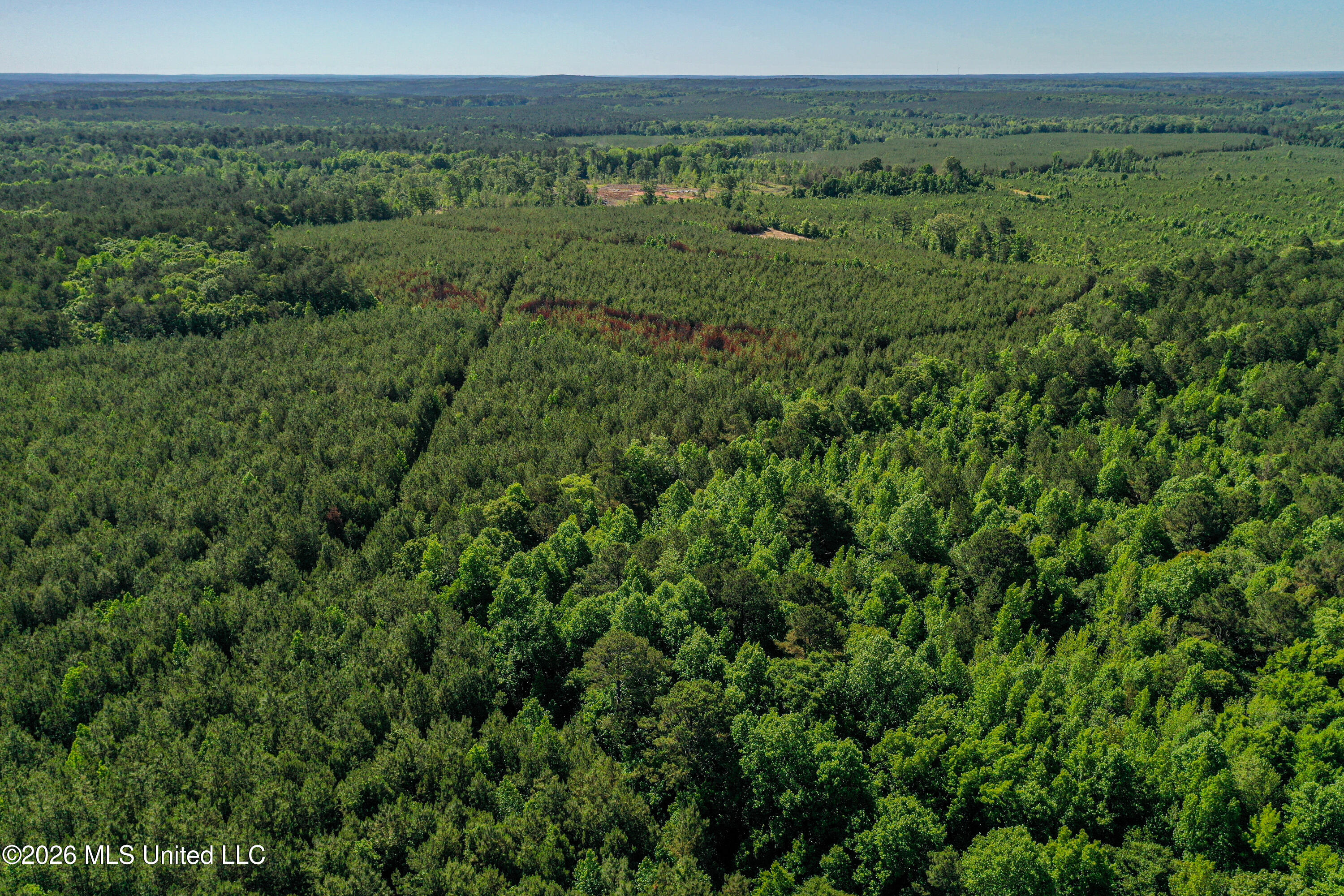 Triplett Property Photo 35