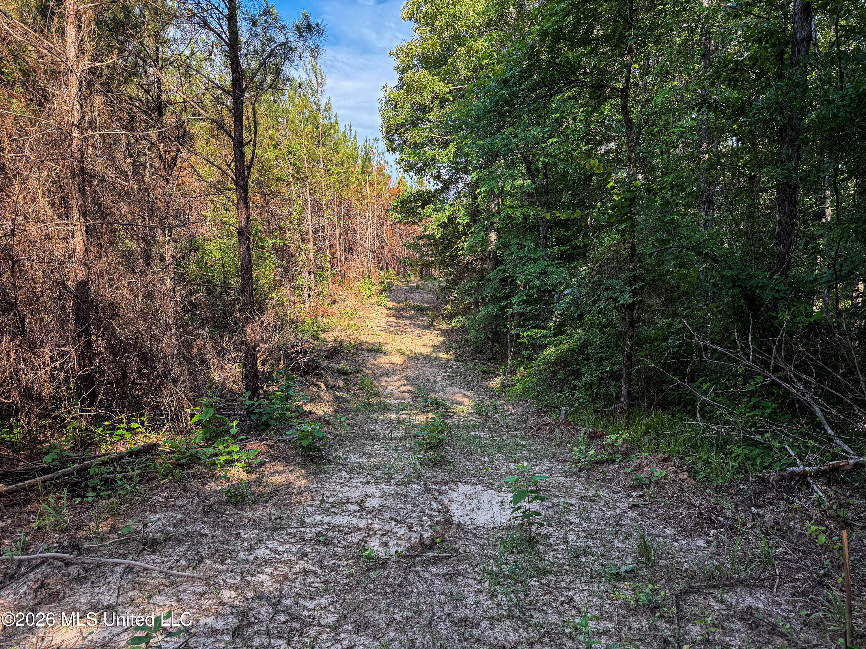 Triplett Property Photo 36
