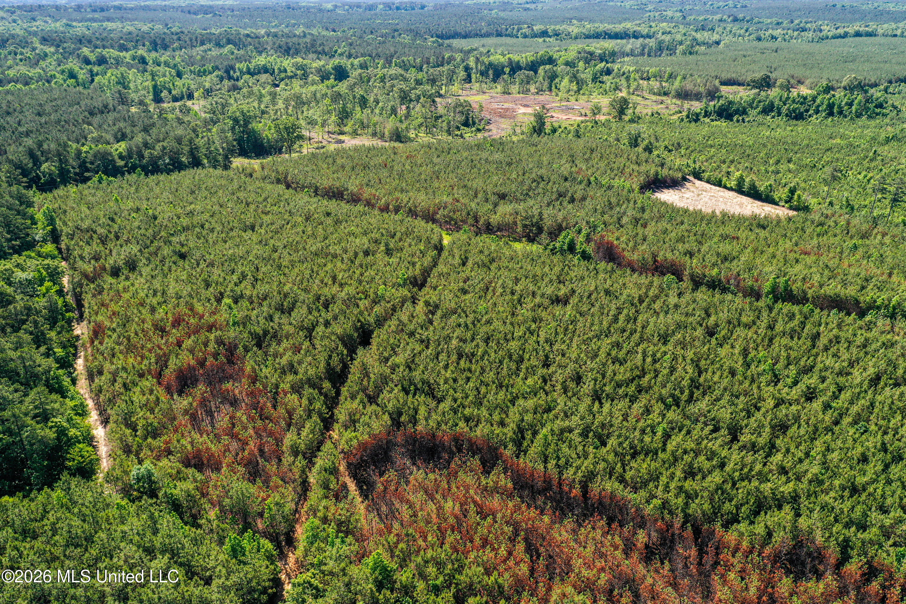 Triplett Property Photo 37