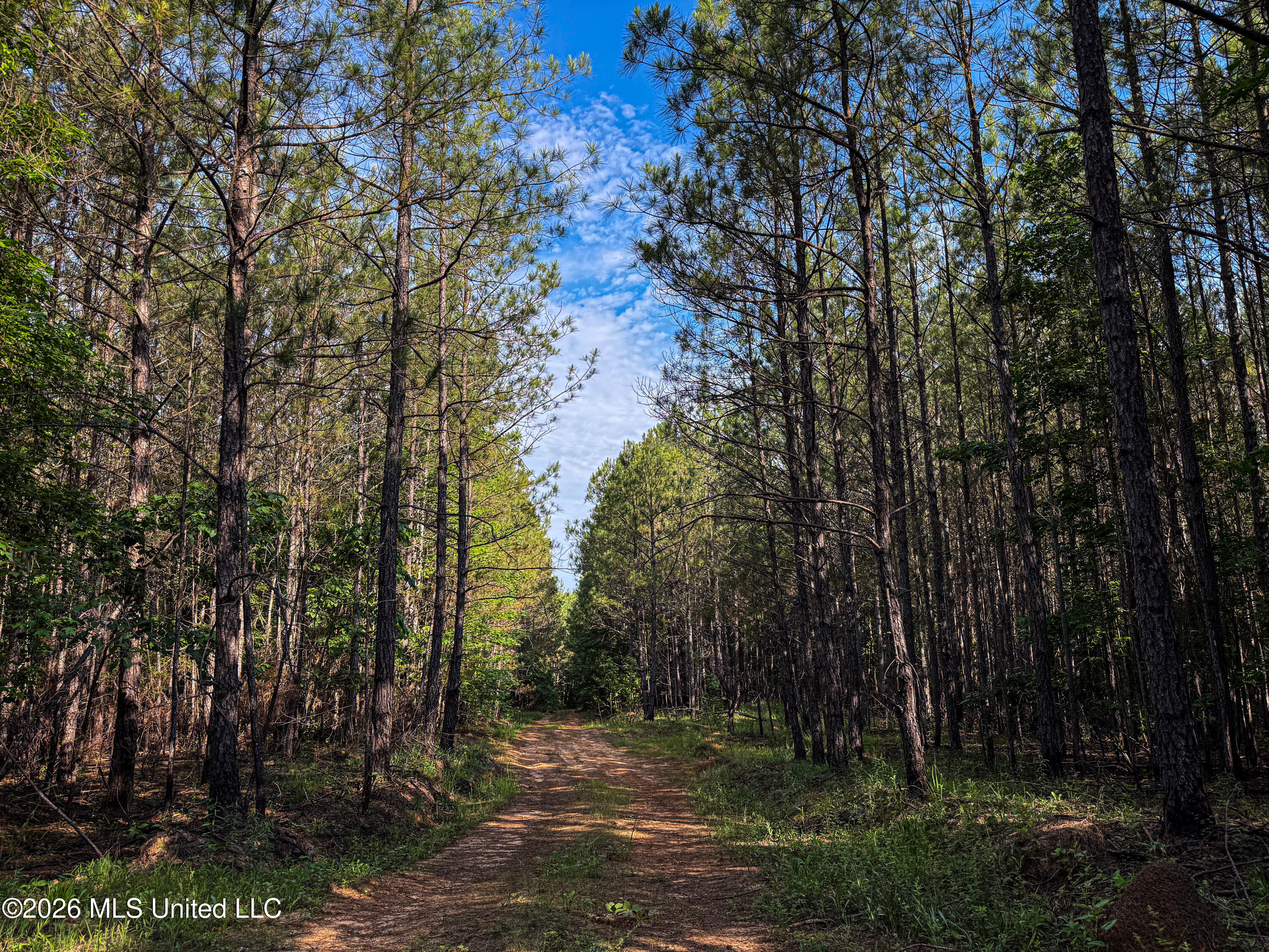Triplett Property Photo 38
