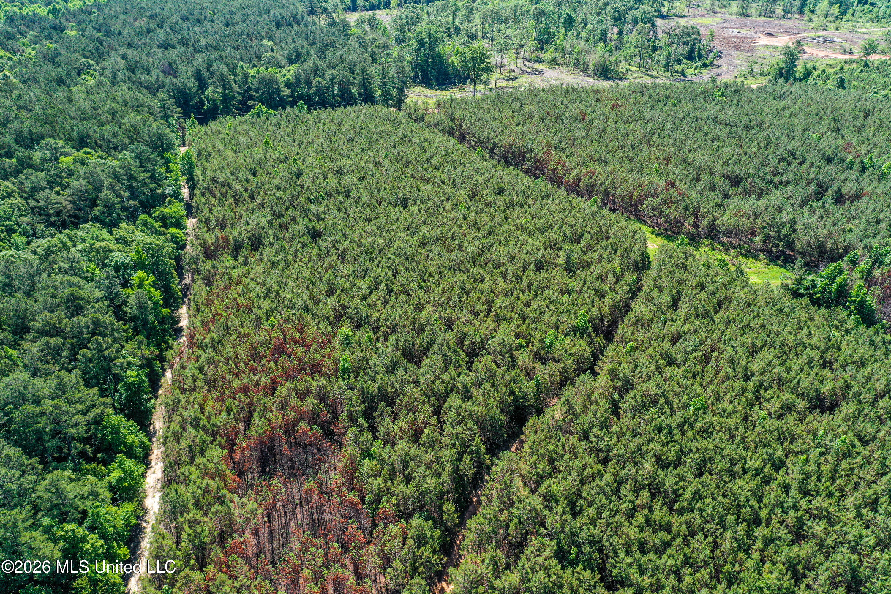 Triplett Property Photo 39