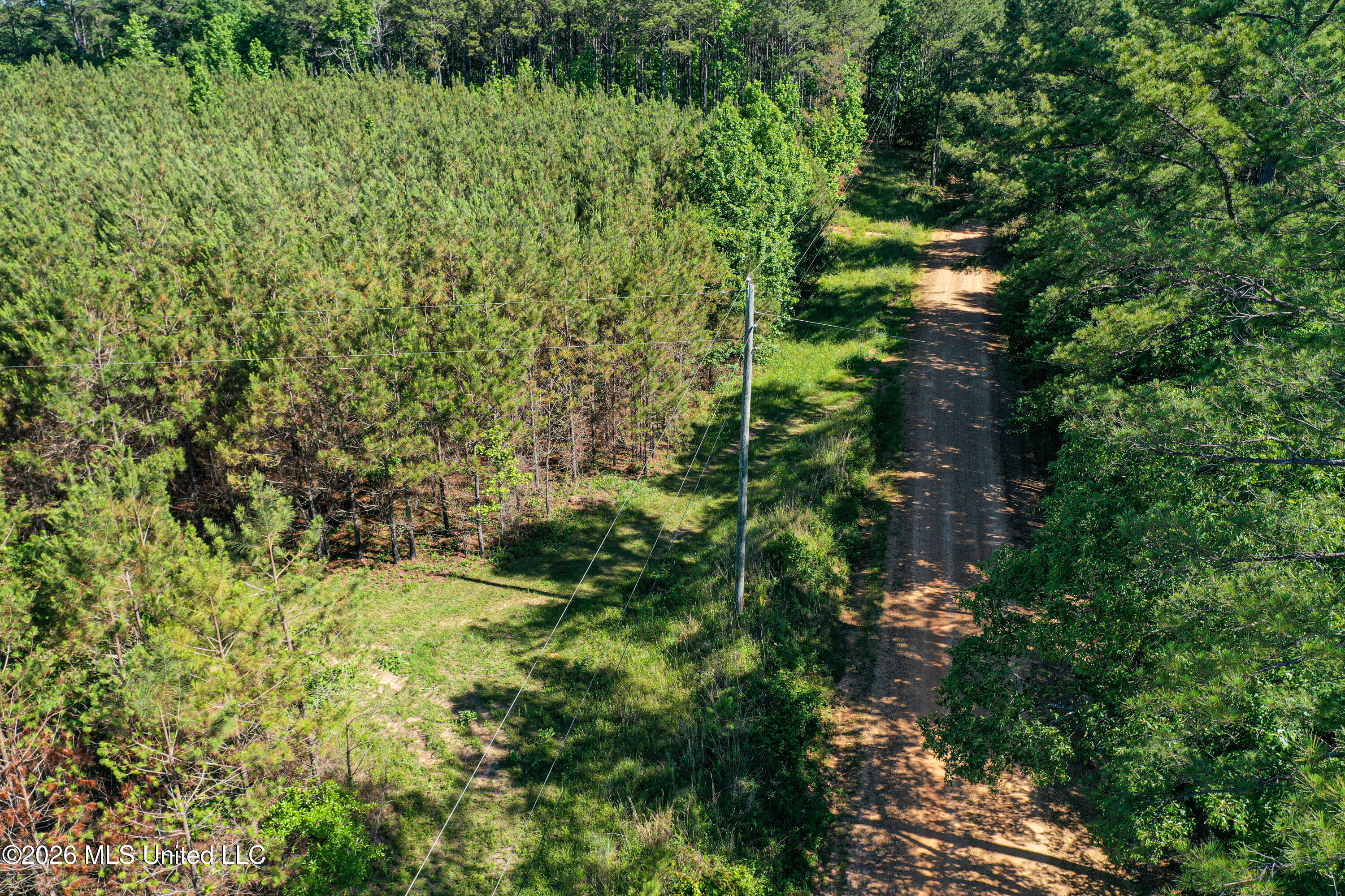 Triplett Property Photo 41