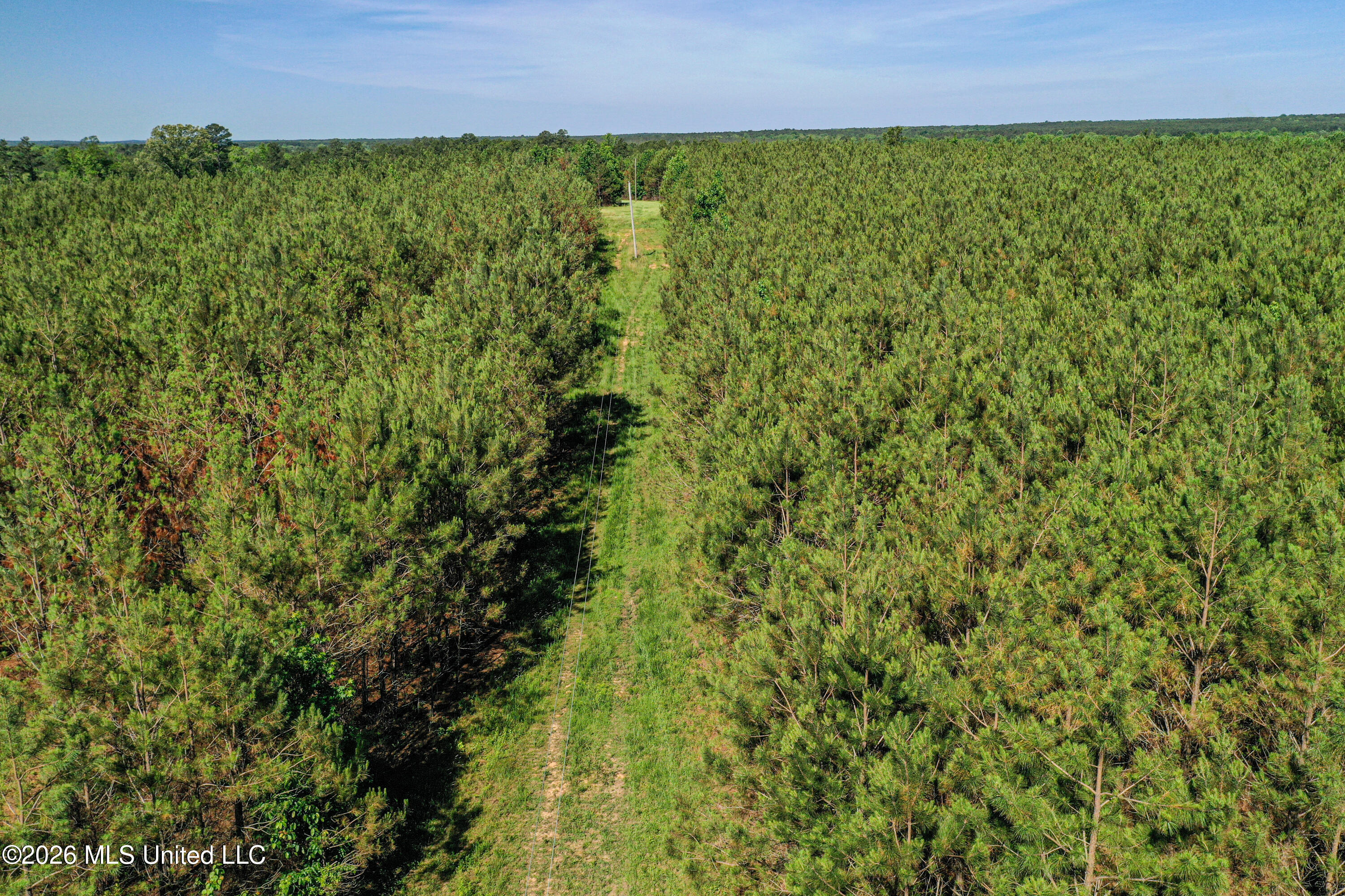 Triplett Property Photo 43
