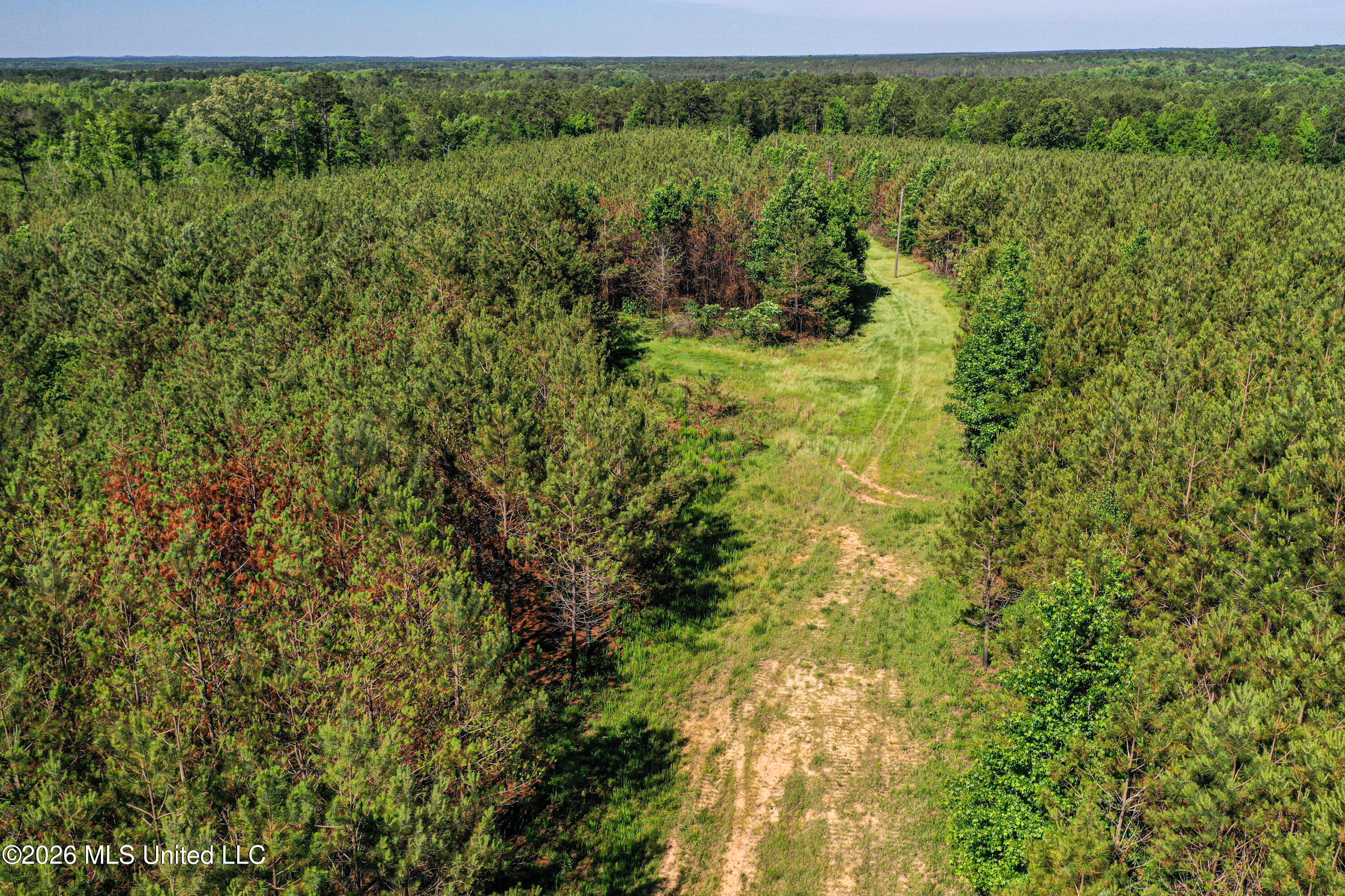 Triplett Property Photo 45