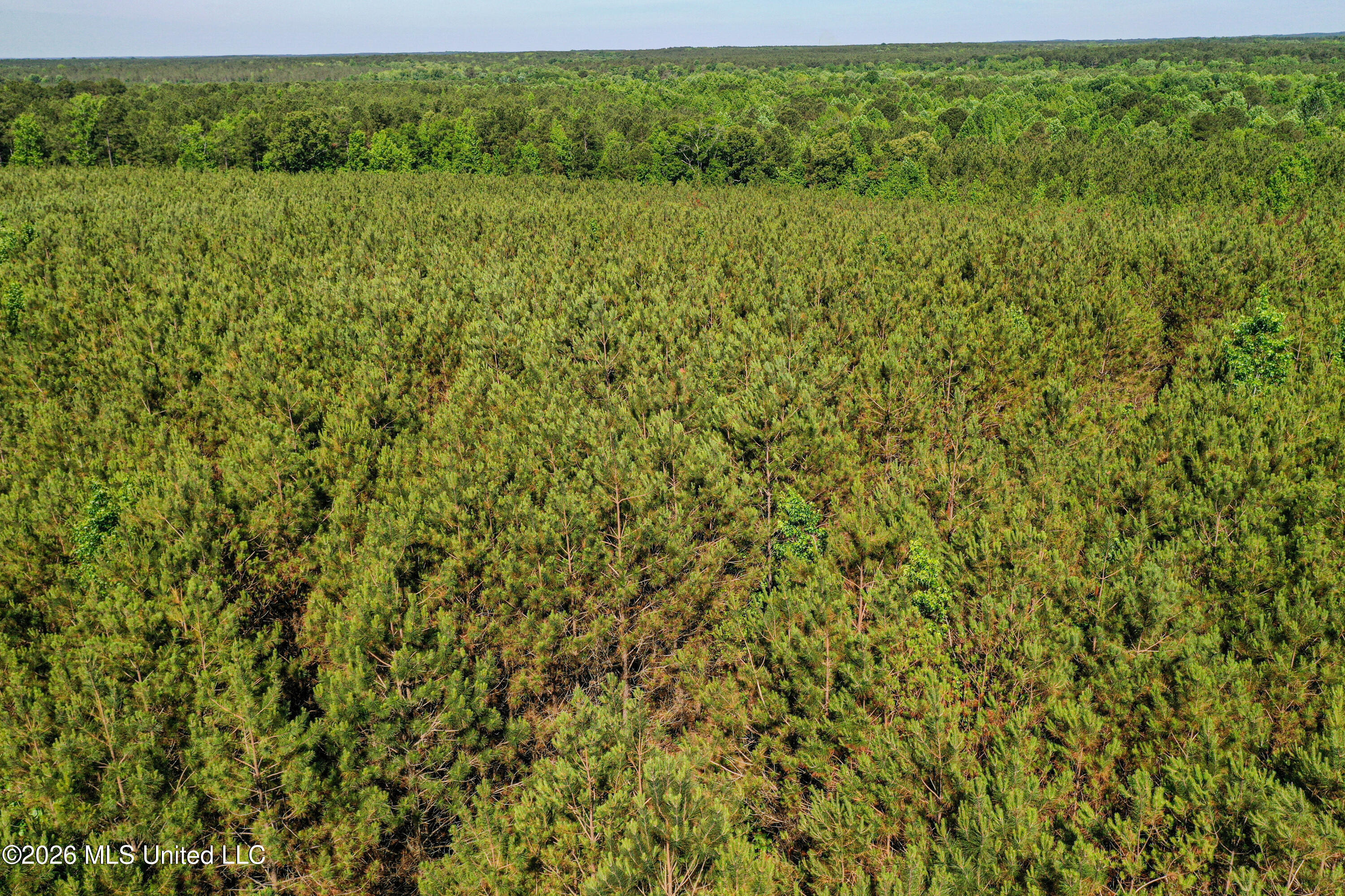 Triplett Property Photo 47