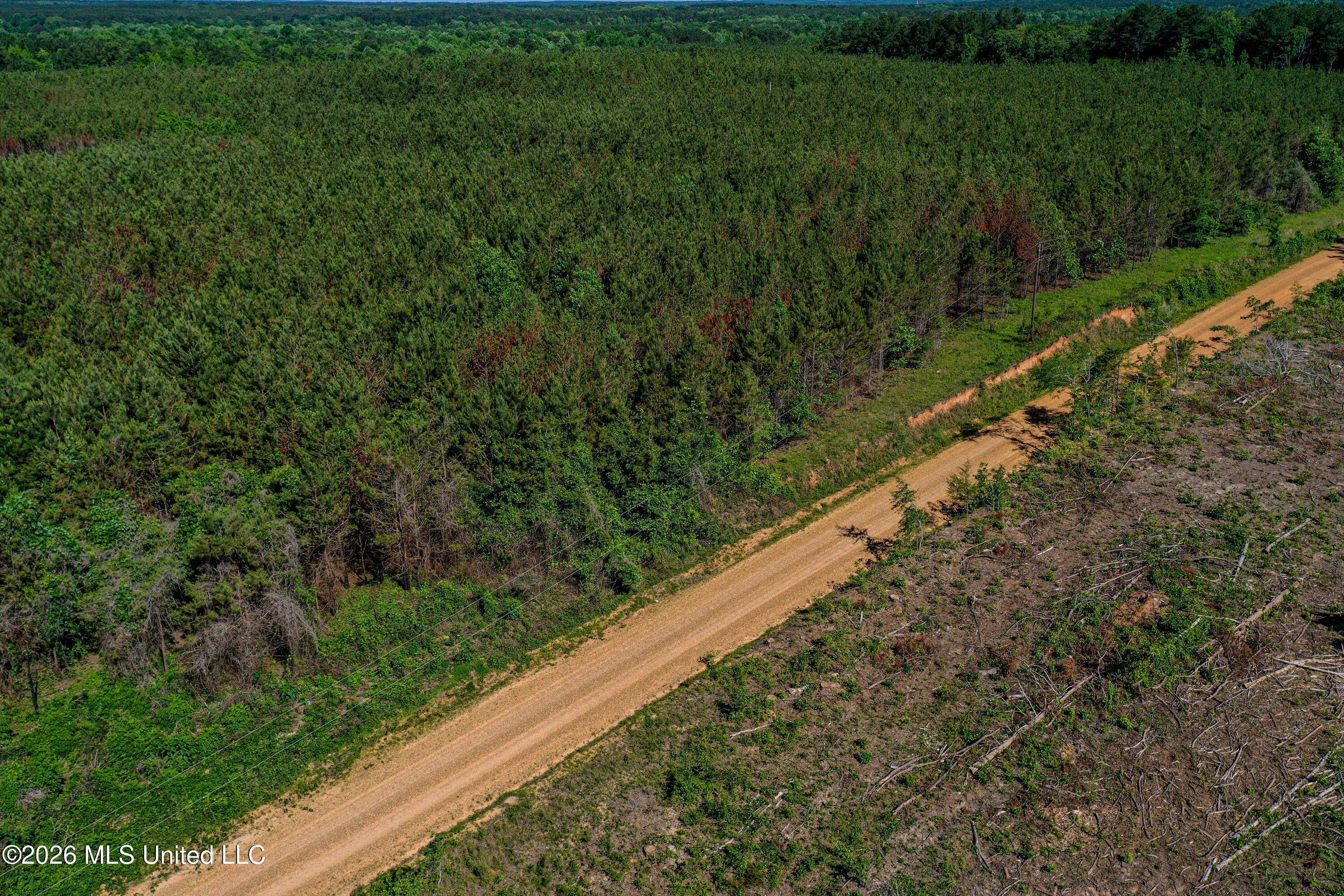 Triplett Property Photo 49