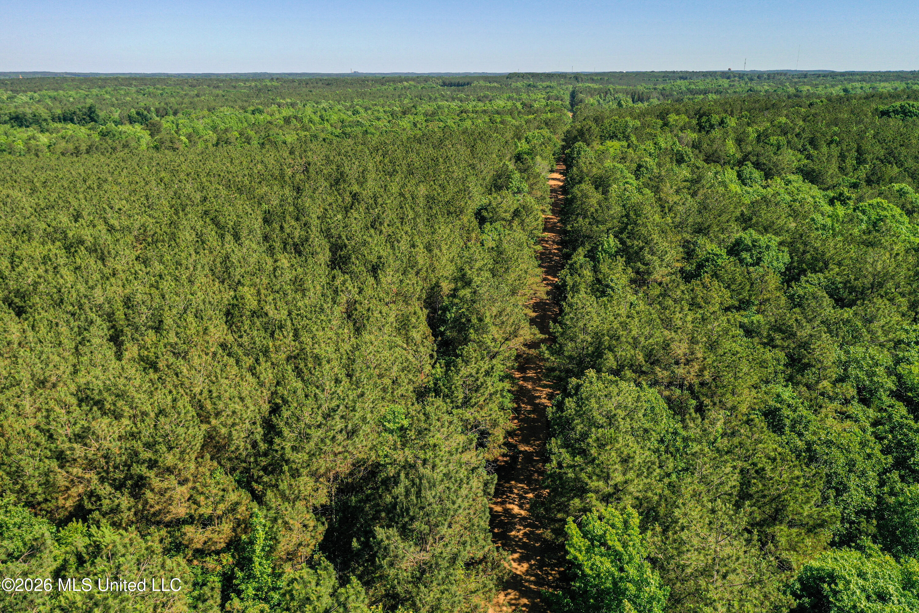 Triplett Property Photo 51
