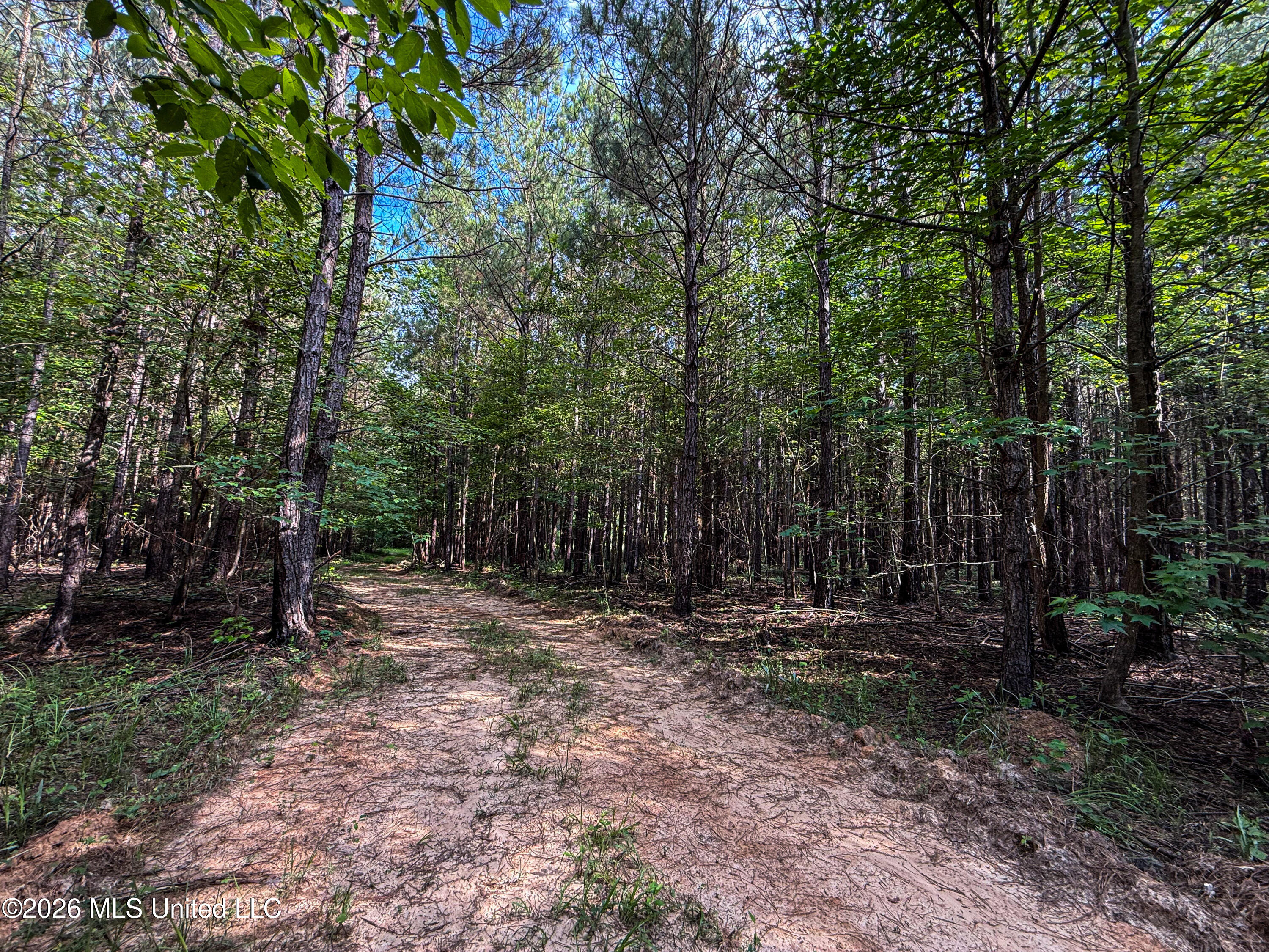 Triplett Property Photo 52