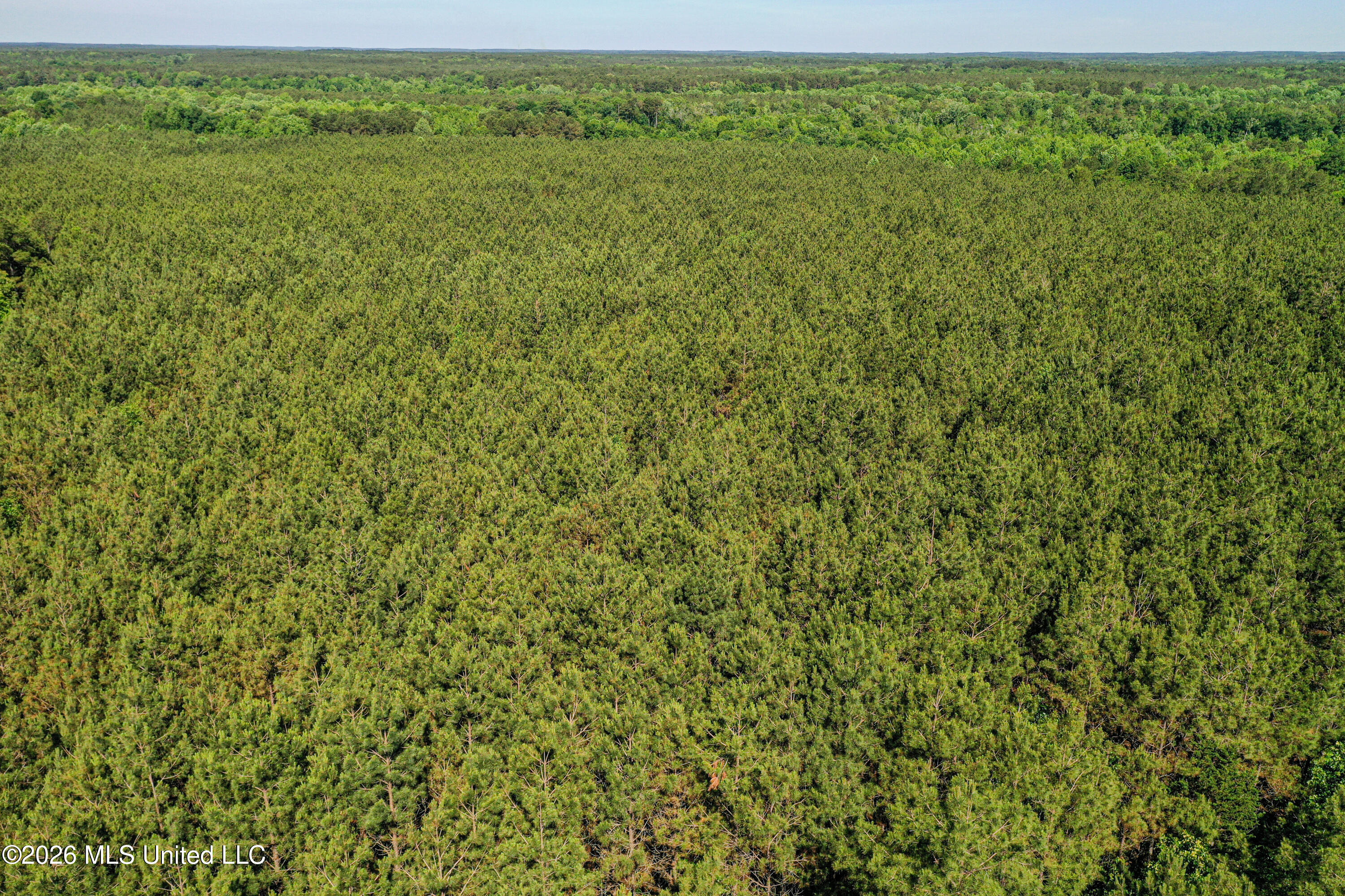 Triplett Property Photo 53