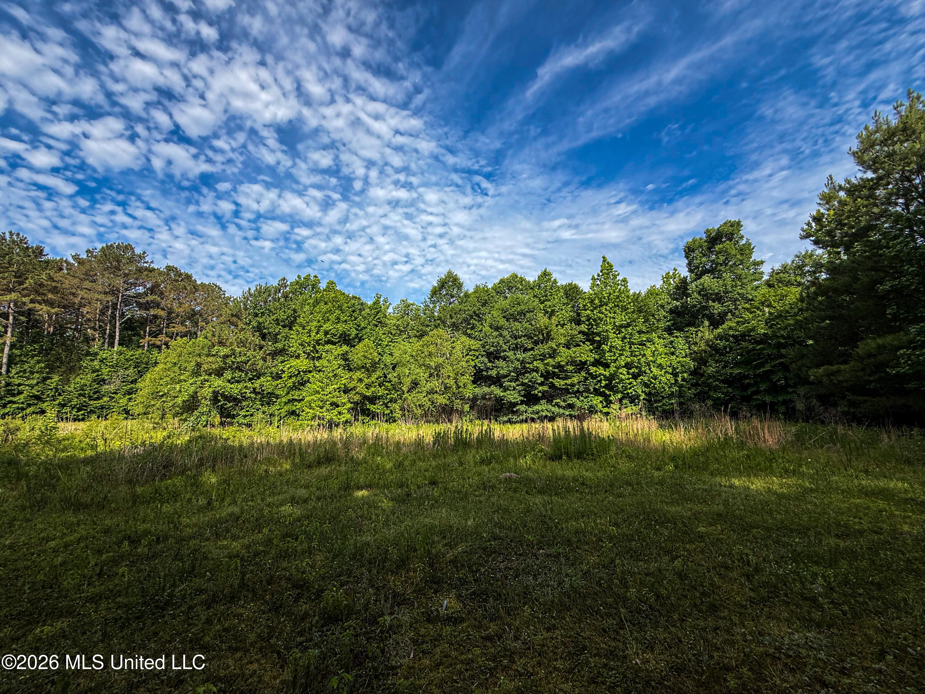 Triplett Property Photo 54