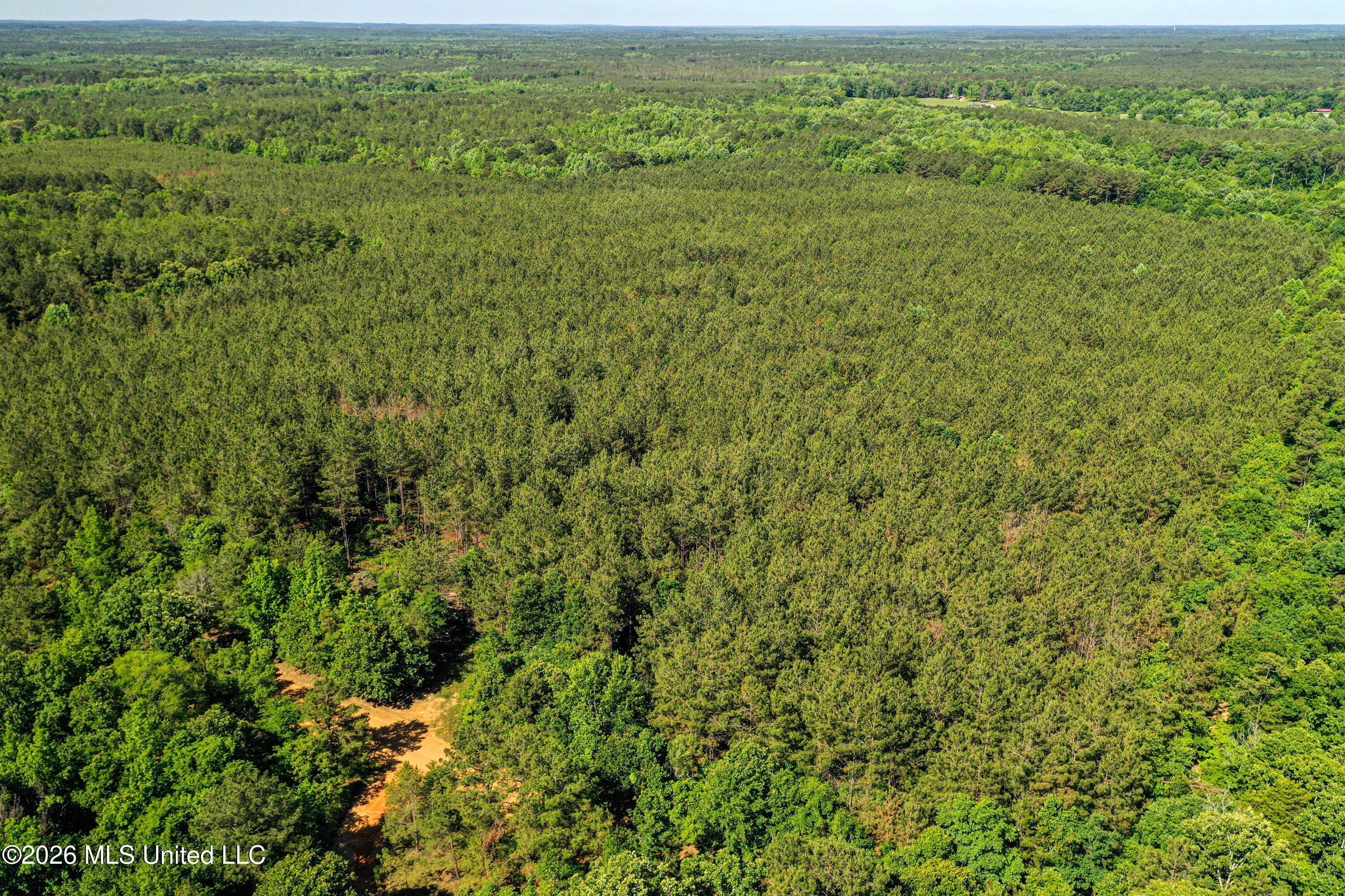 Triplett Property Photo 55