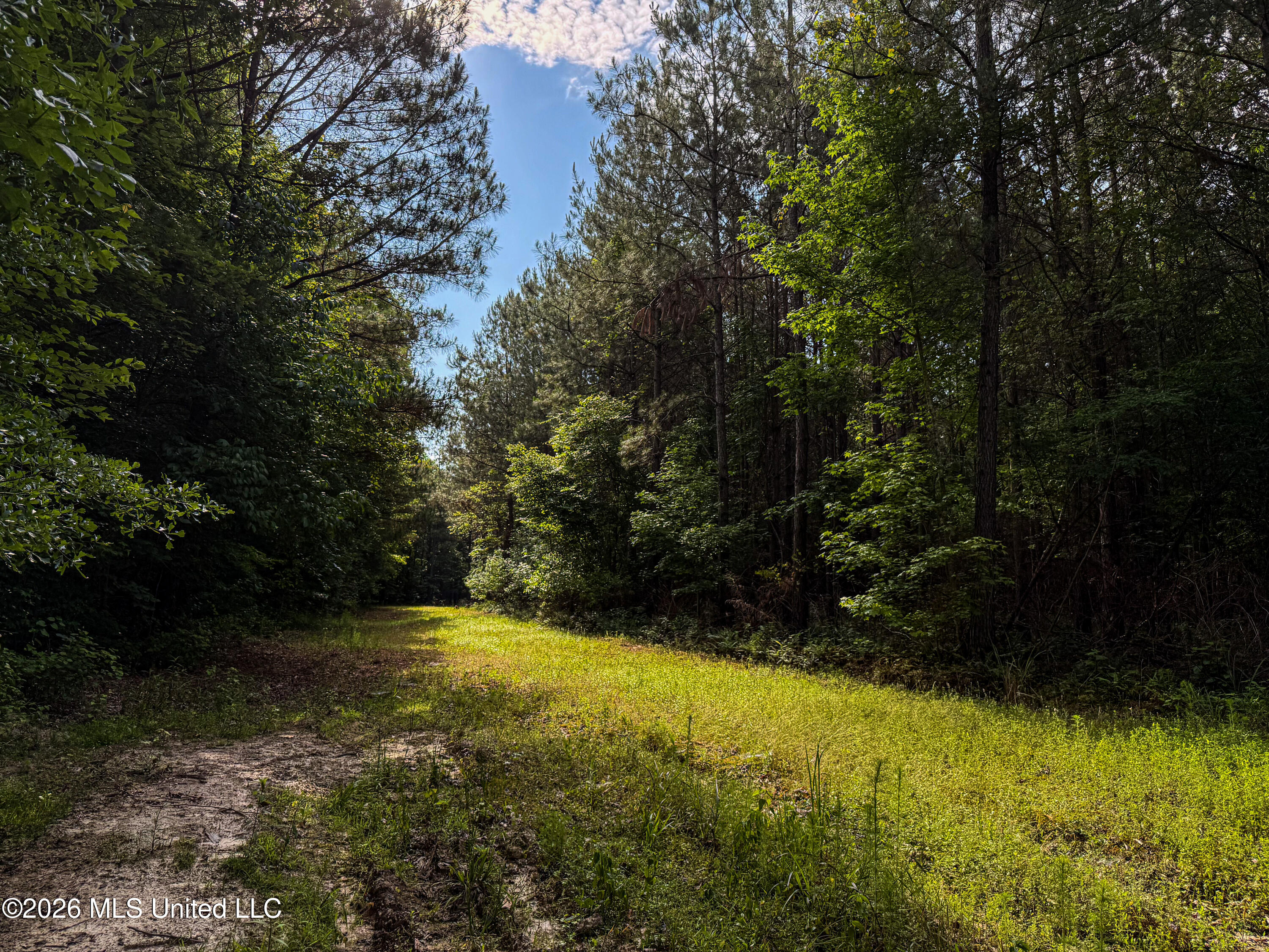 Triplett Property Photo 56