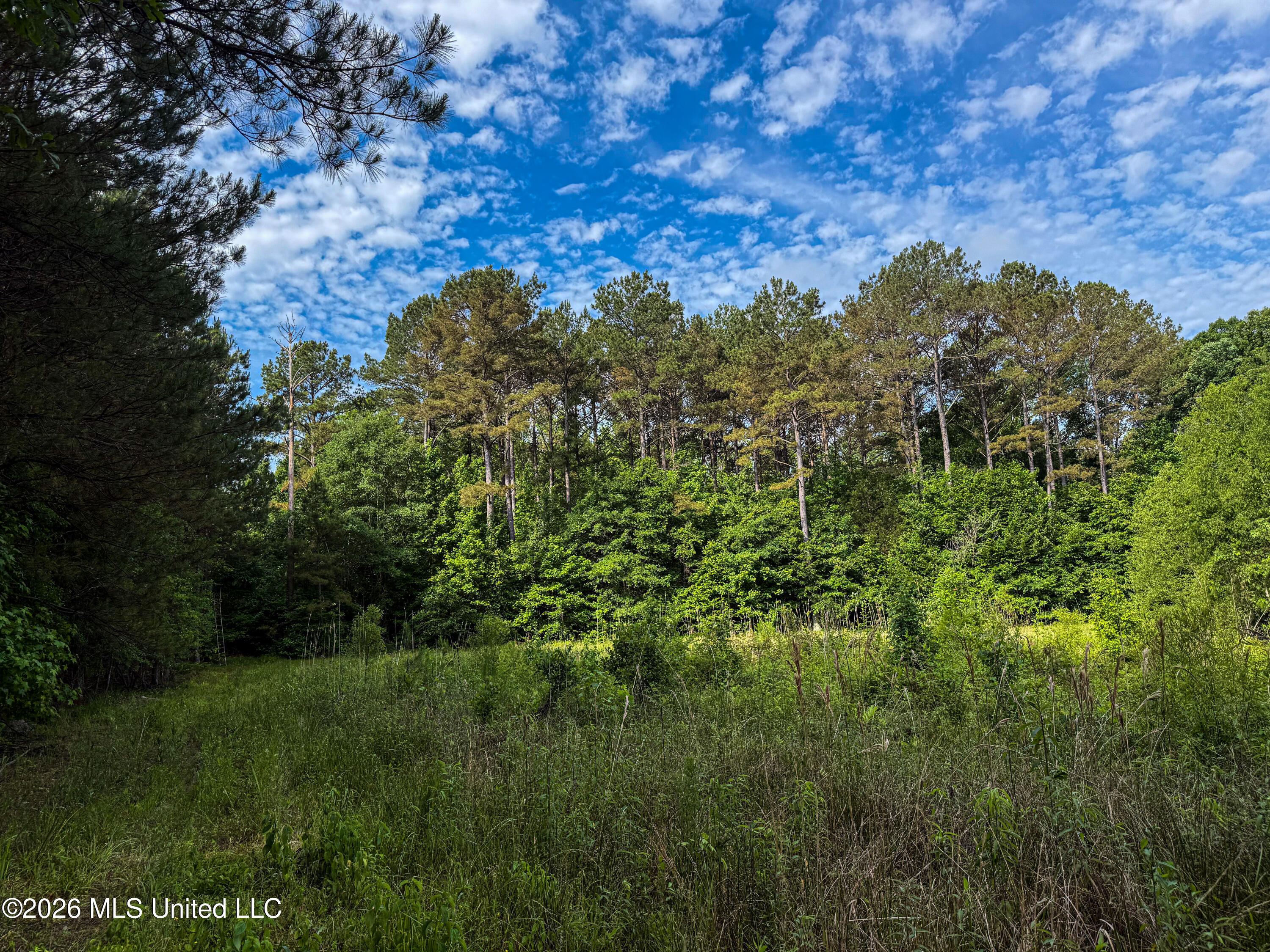 Triplett Property Photo 58