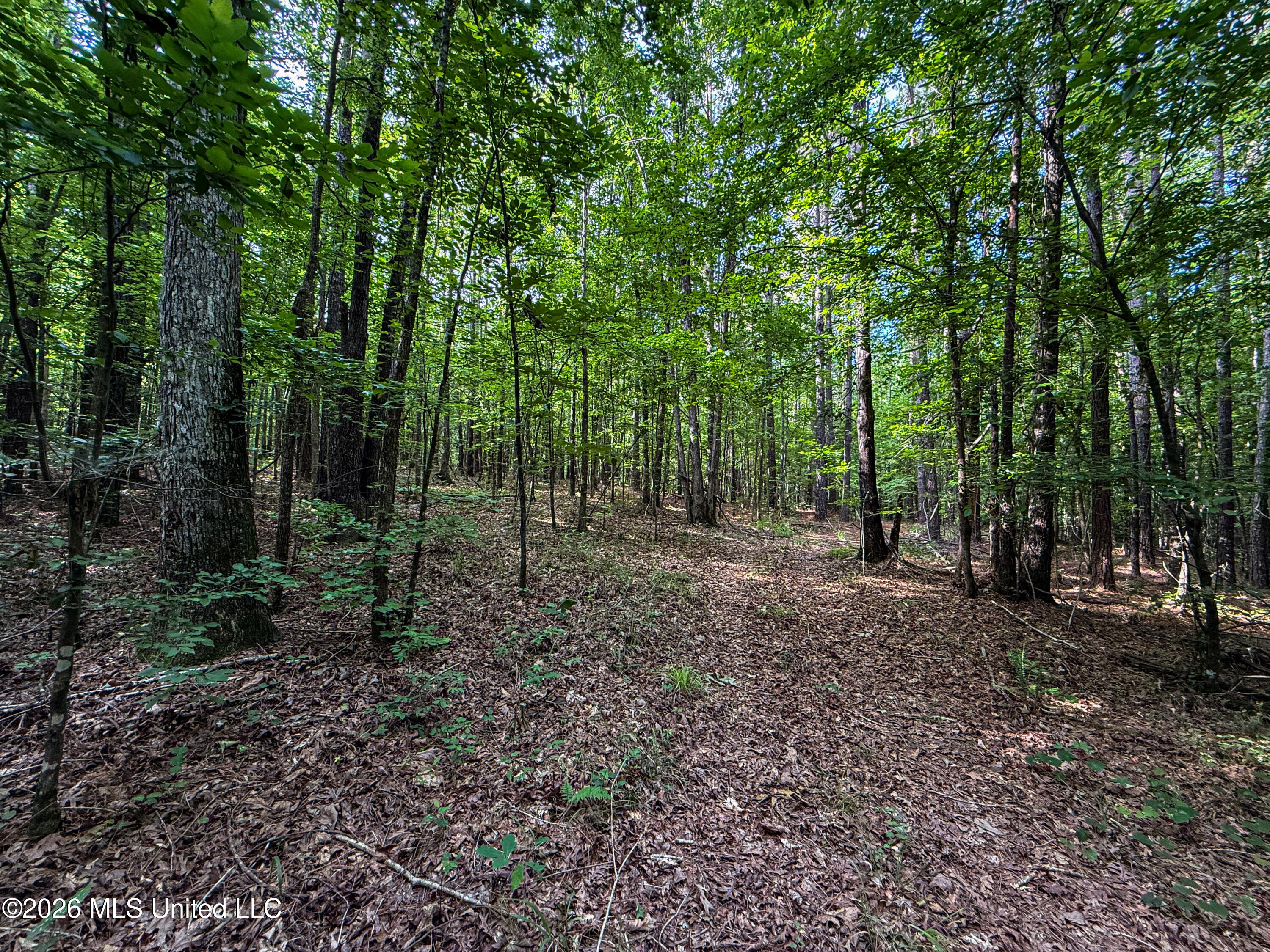 Triplett Property Photo 72
