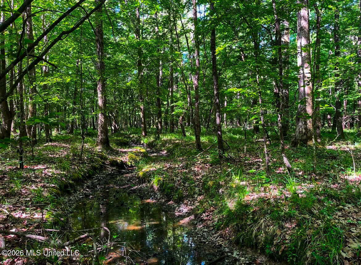 Triplett Property Photo 75