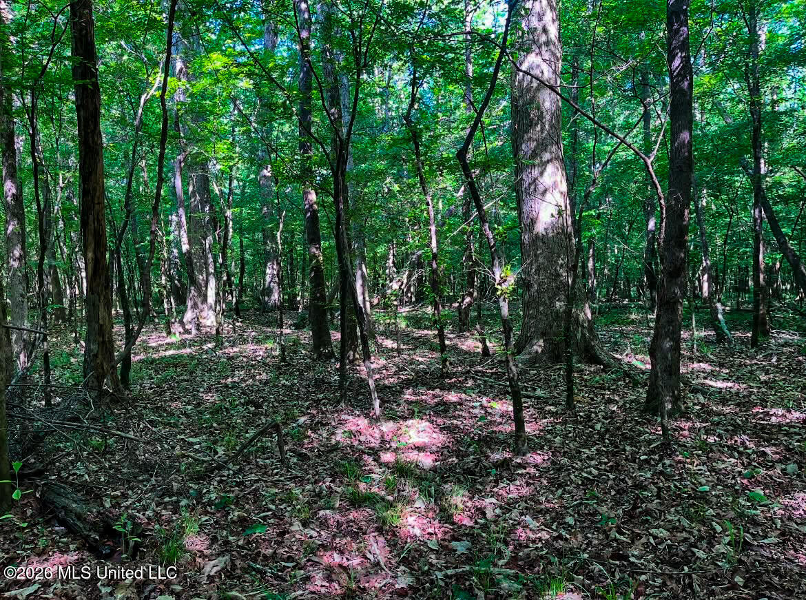Triplett Property Photo 76