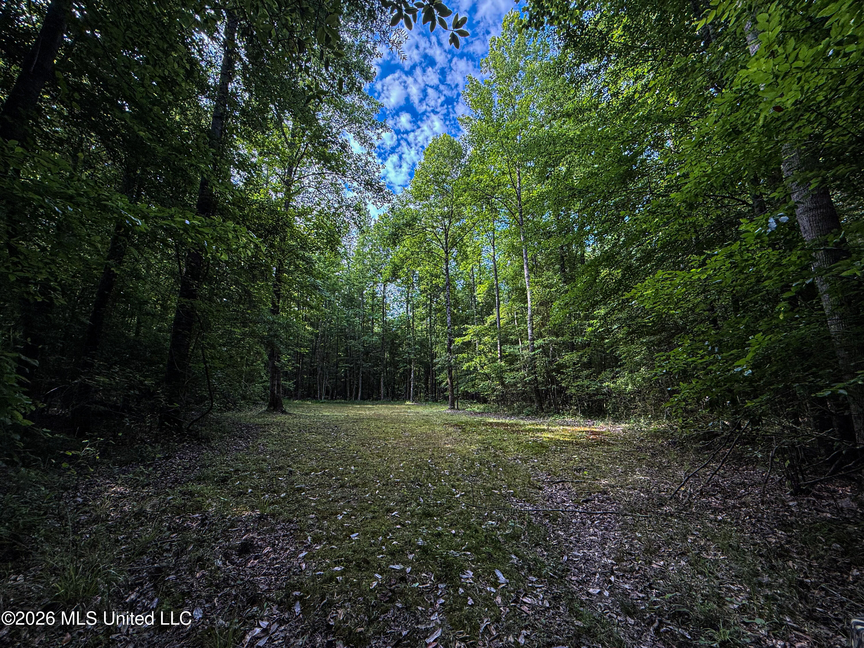 Triplett Property Photo 77