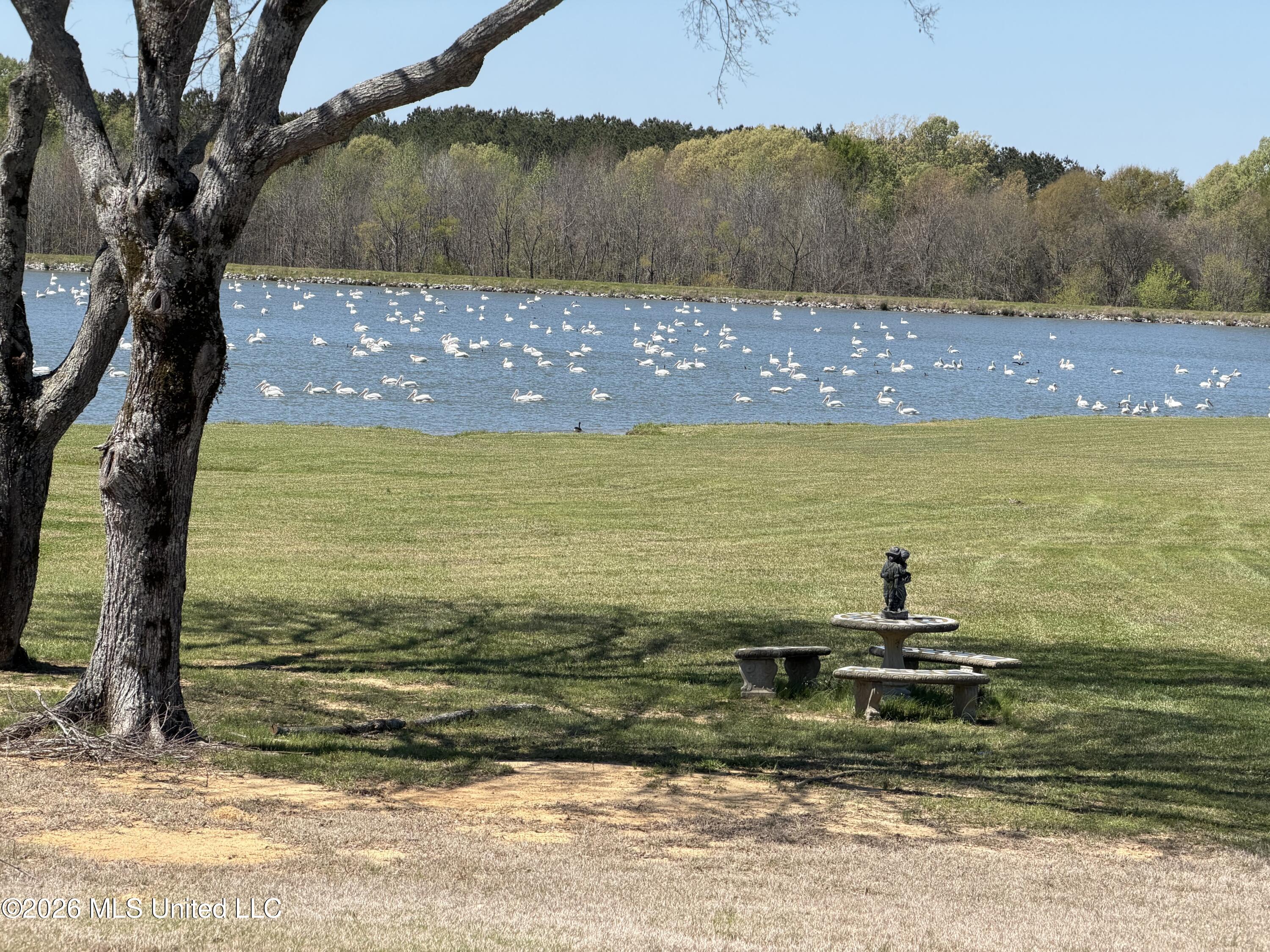 108 Chantry Lane Property Photo 83