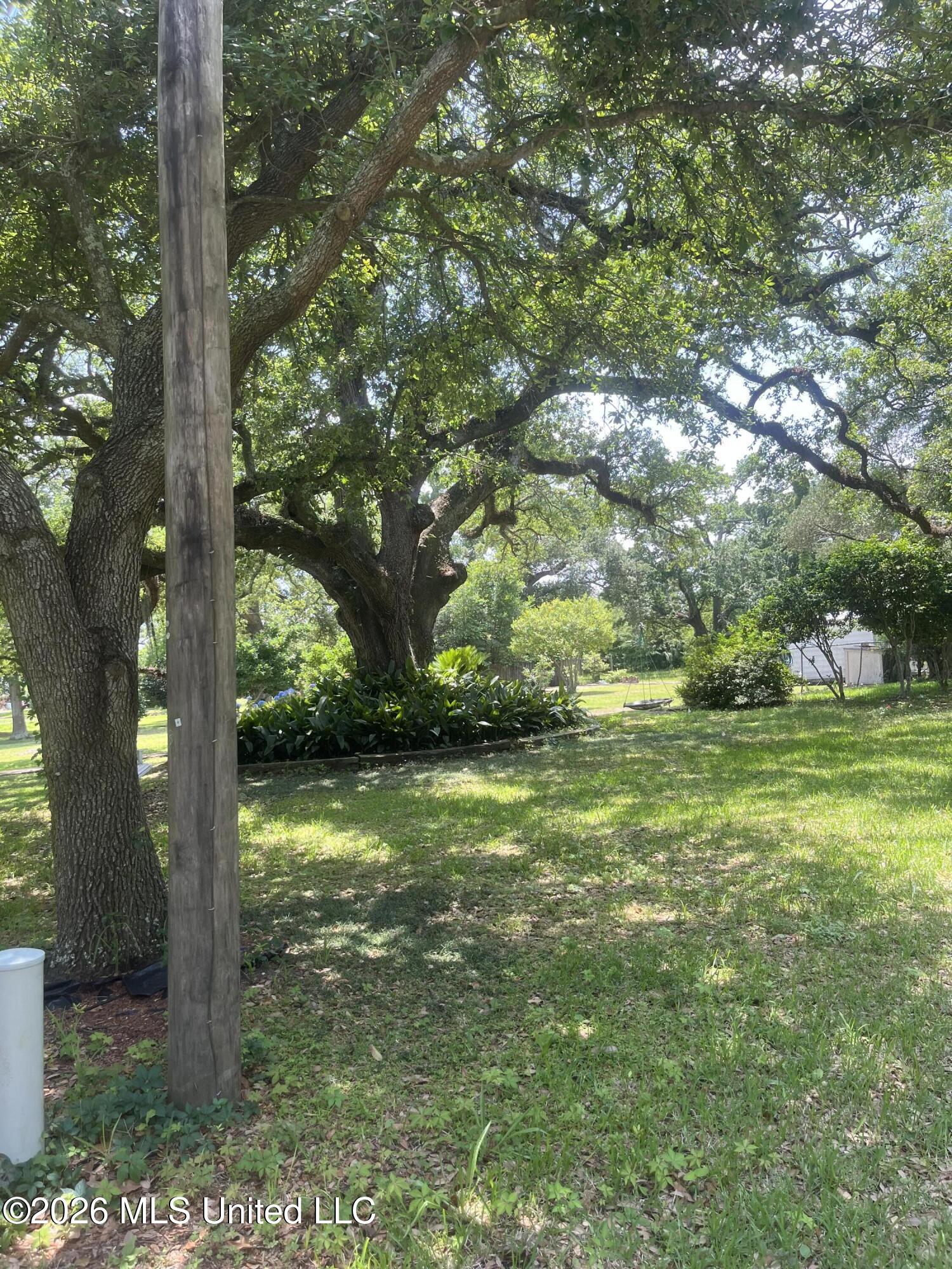 241 Walston Avenue Property Photo 3