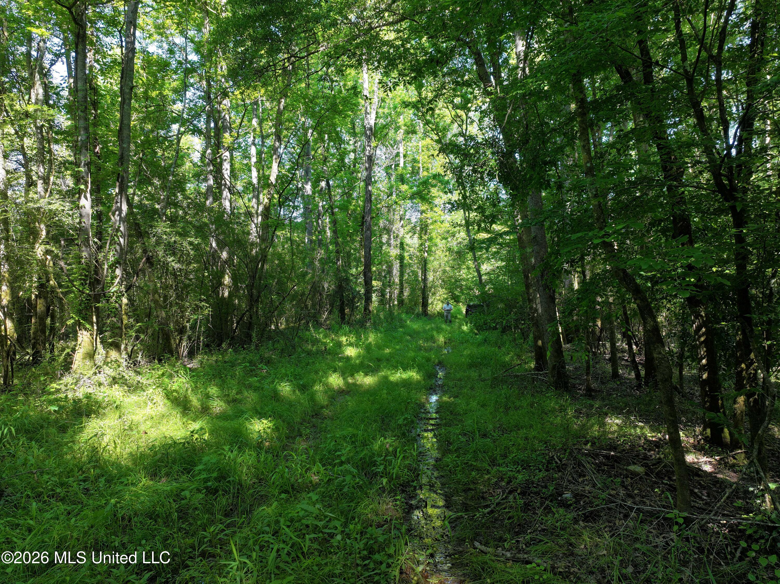 Us-51 Property Photo 1