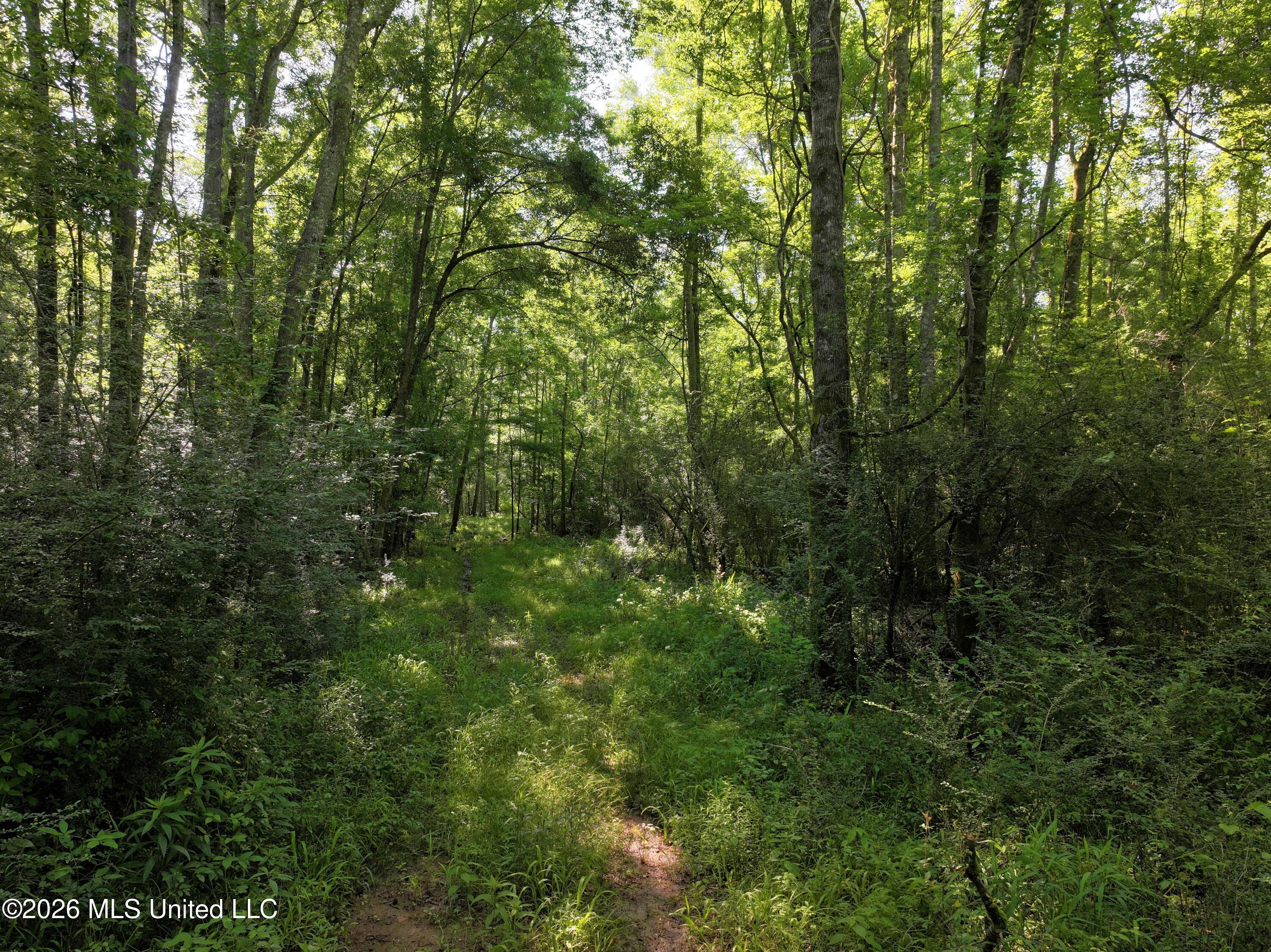 Us-51 Property Photo 2