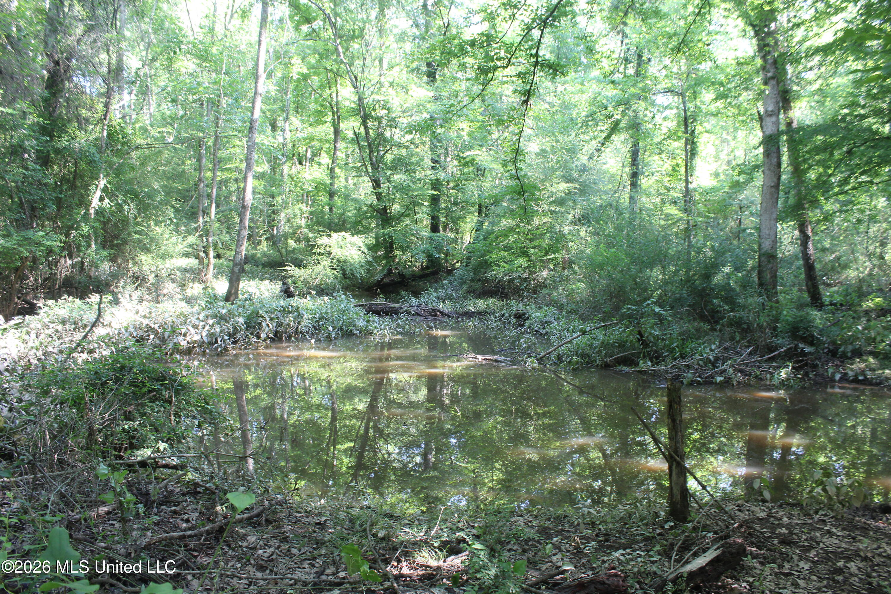 Us-51 Property Photo 7