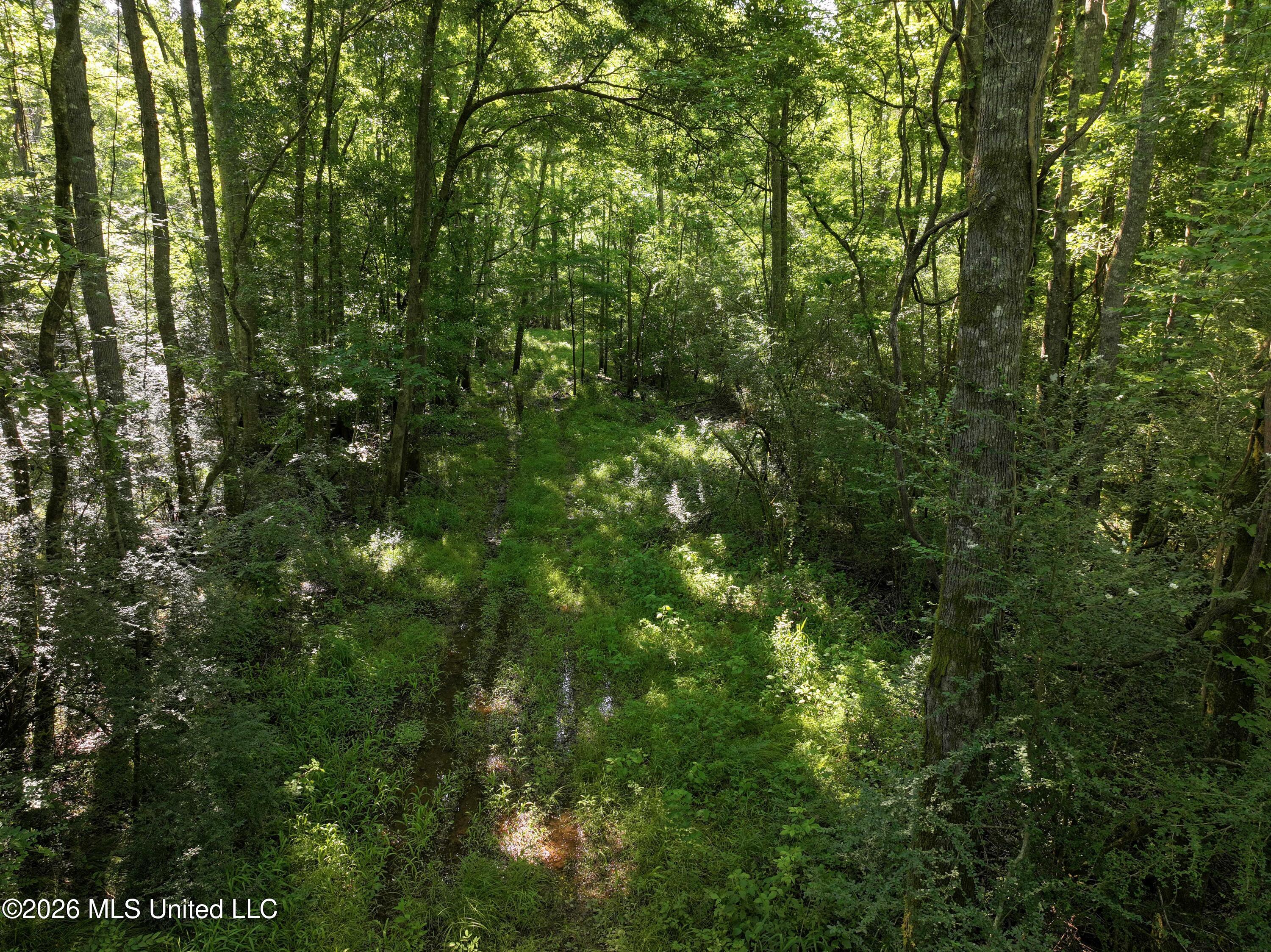Us-51 Property Photo 10