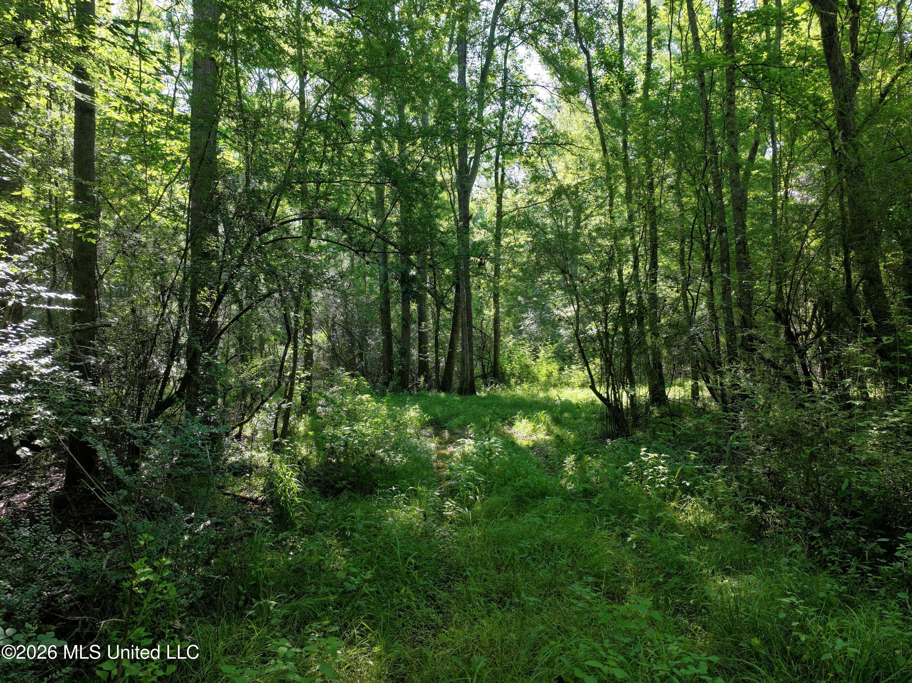 Us-51 Property Photo 12