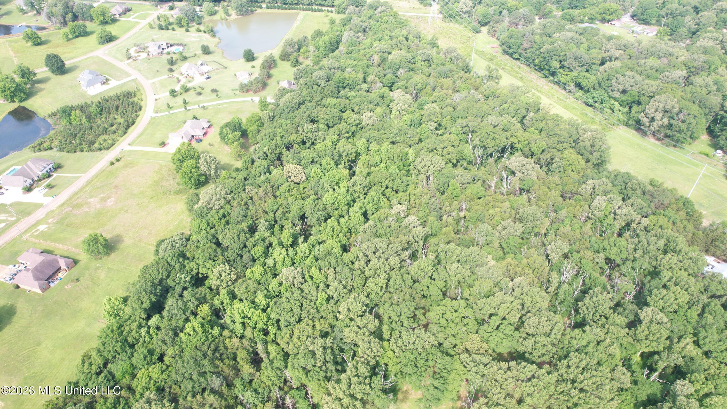 Clinton-tinnin Road Property Photo 4