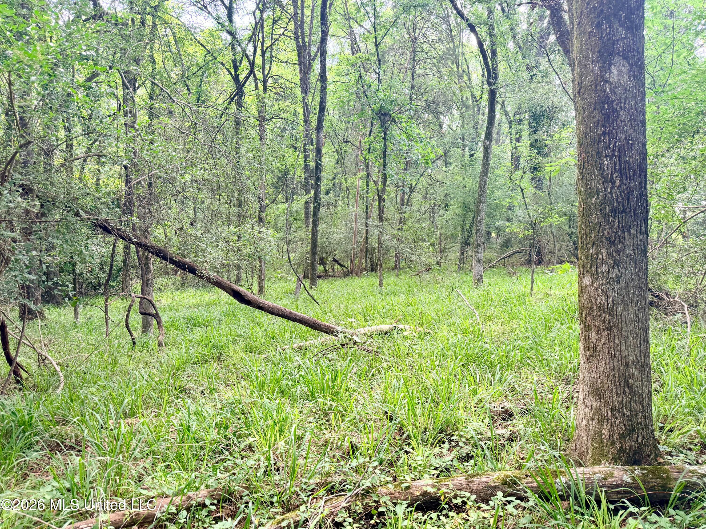 Clinton-tinnin Road Property Photo 5