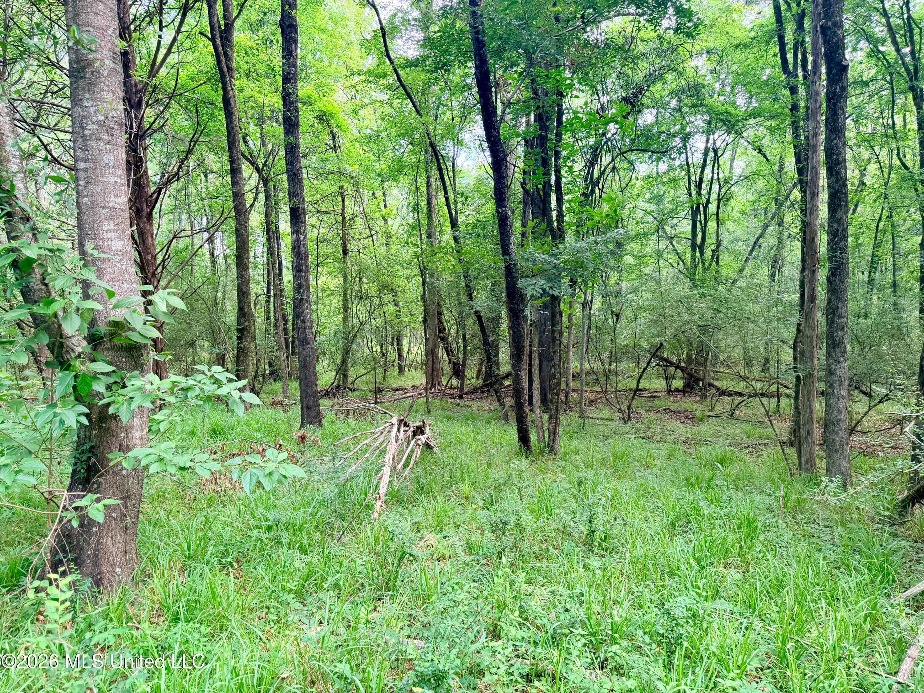 Clinton-tinnin Road Property Photo 6