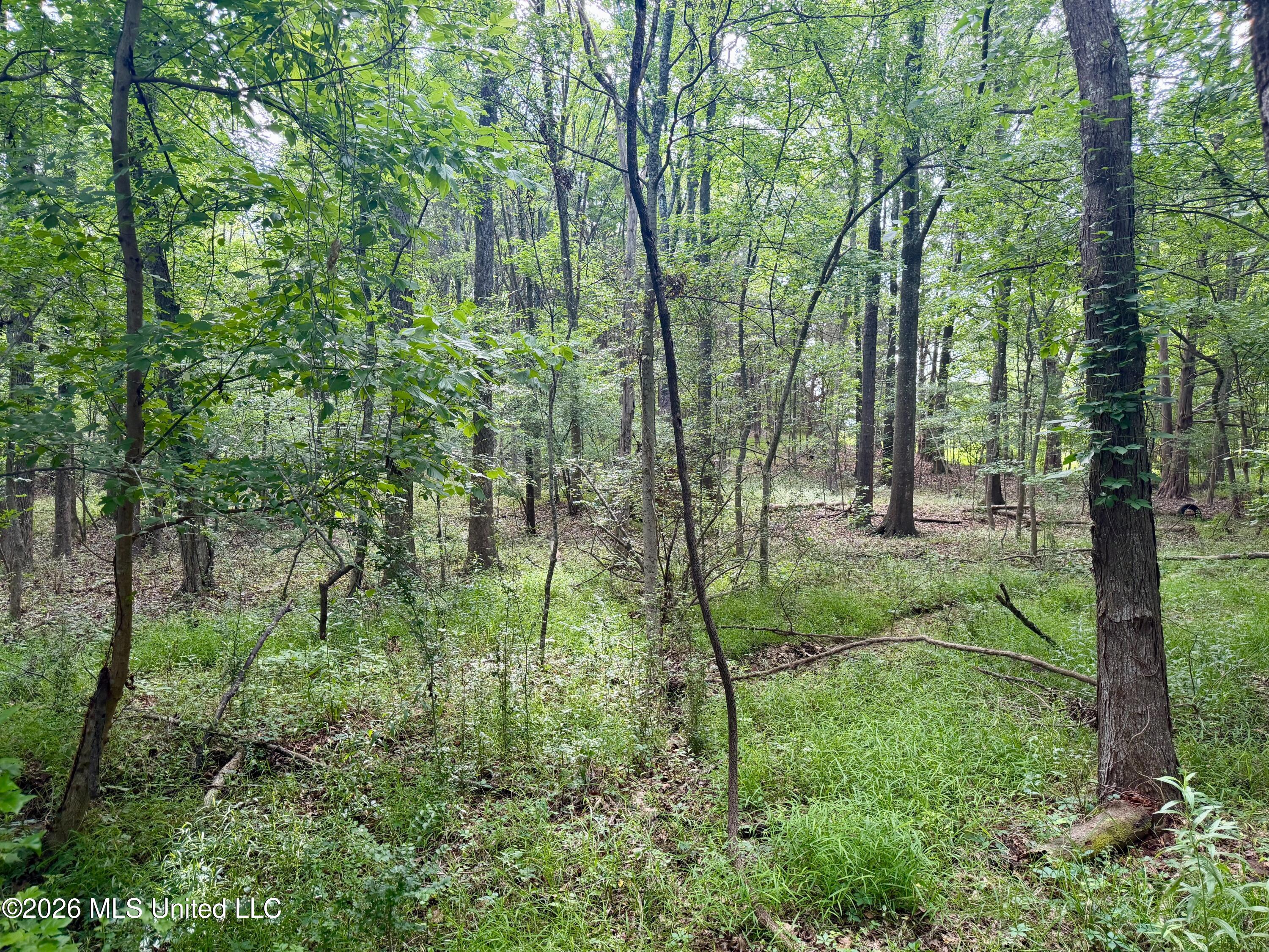 Clinton-tinnin Road Property Photo 7