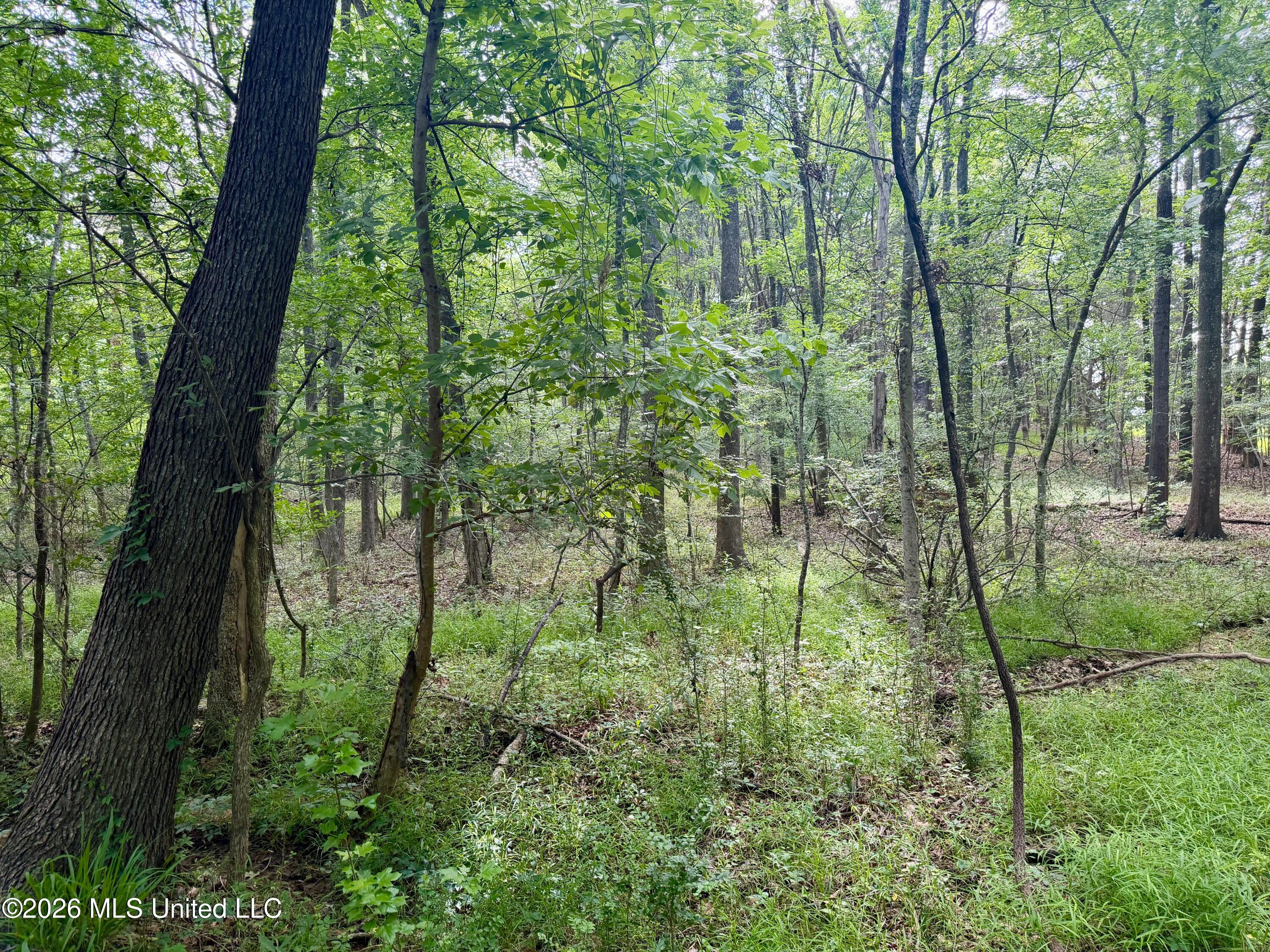 Clinton-tinnin Road Property Photo 9