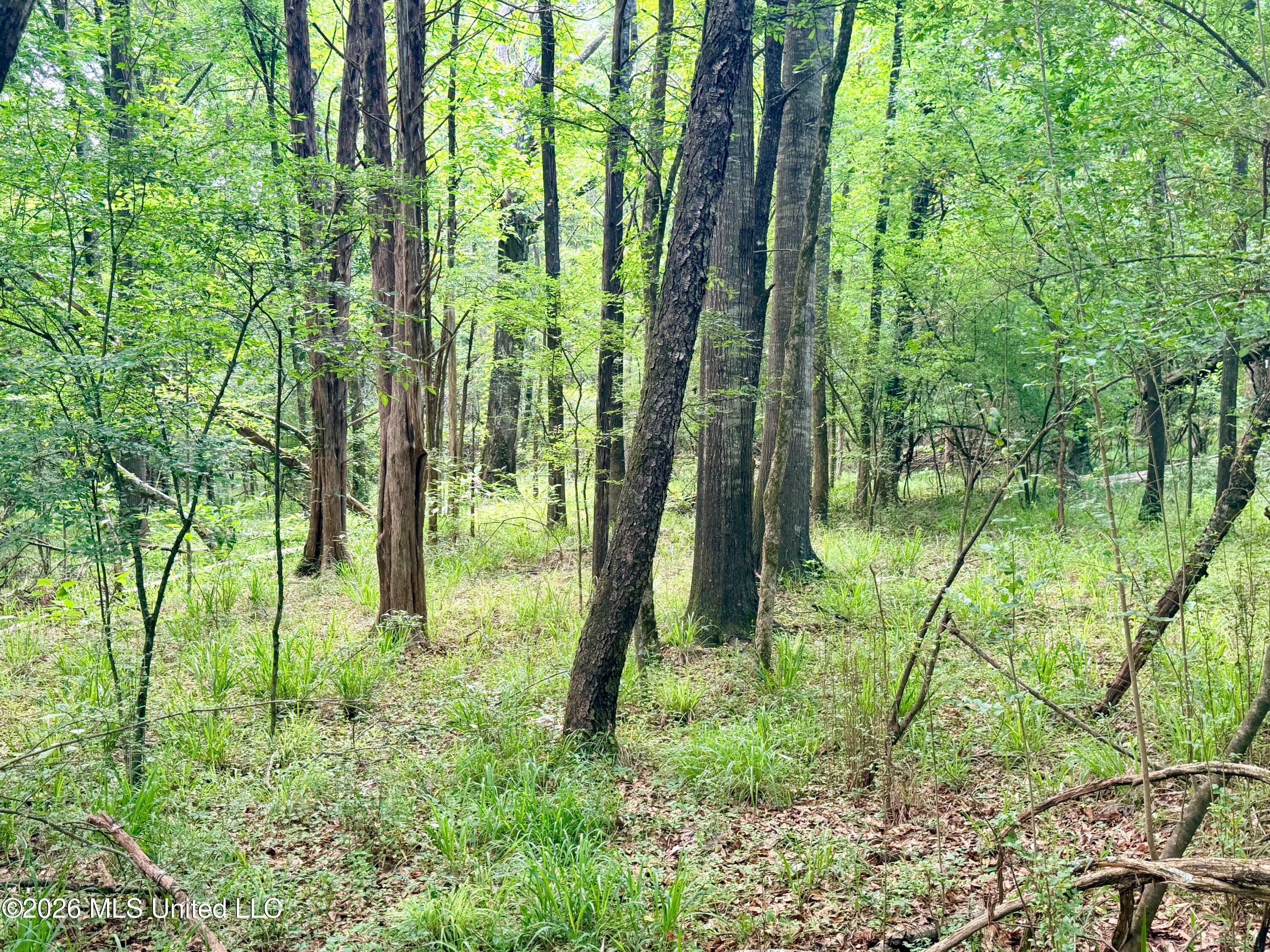Clinton-tinnin Road Property Photo 10