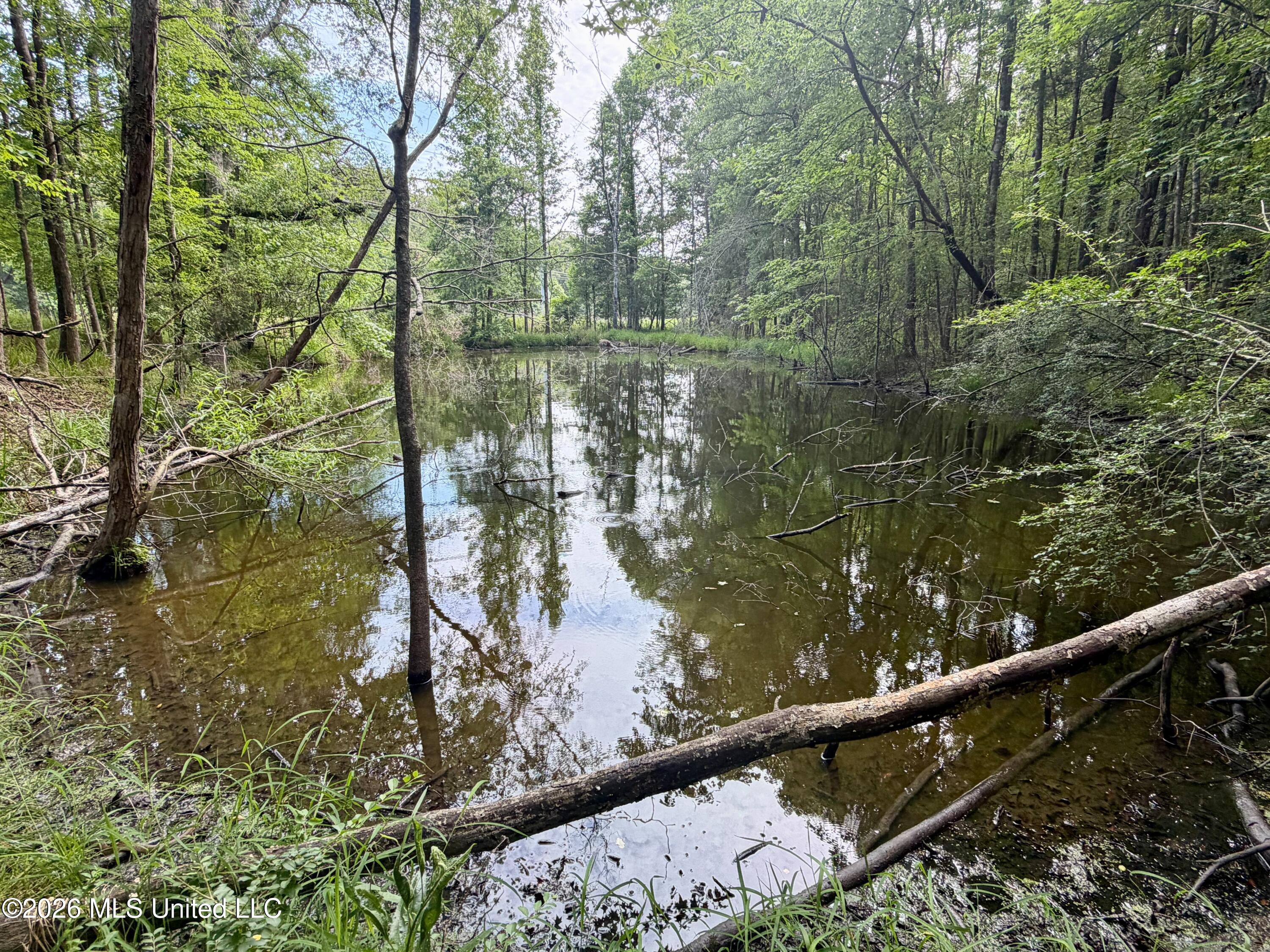 Clinton-tinnin Road Property Photo 11