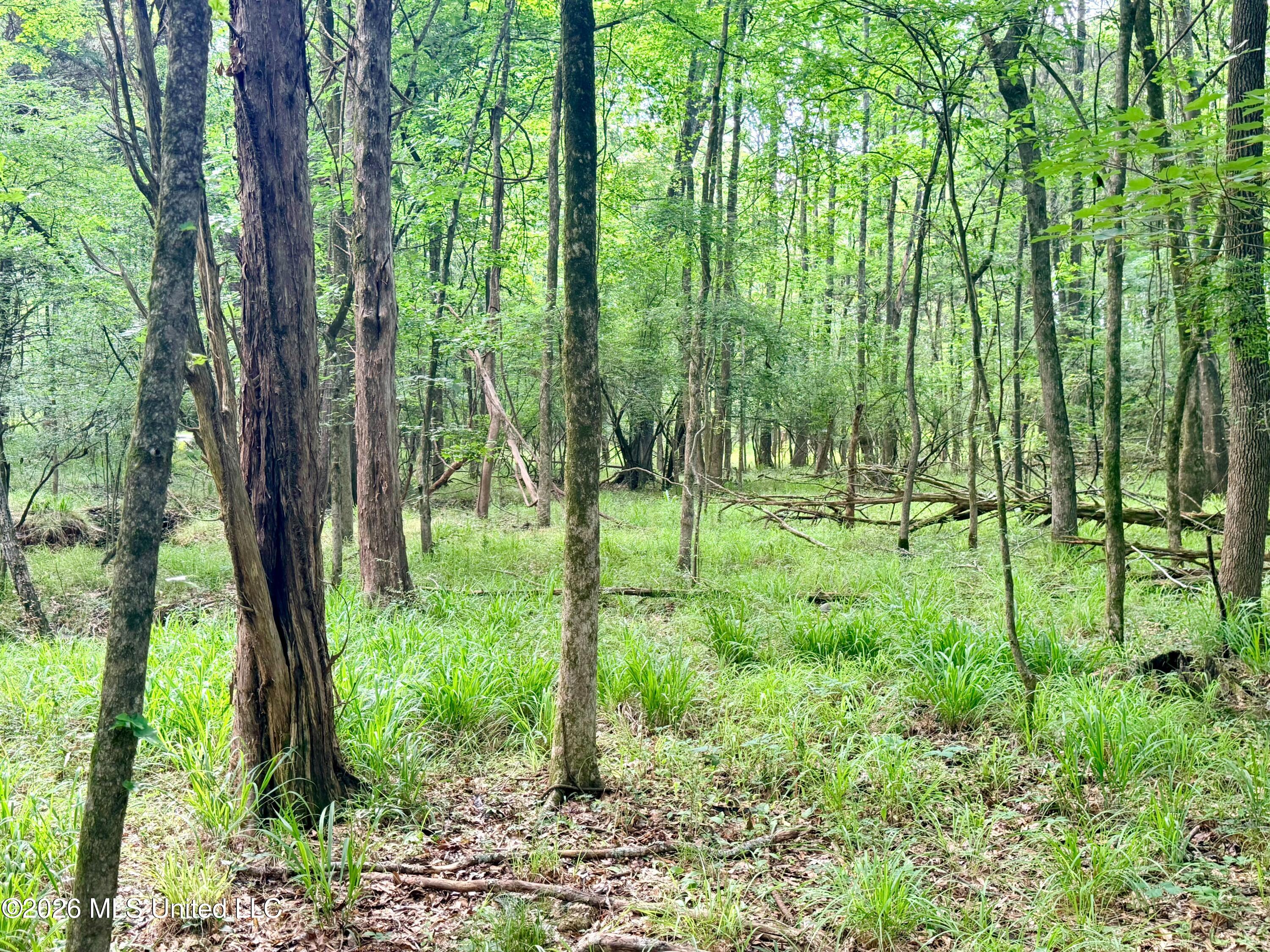 Clinton-tinnin Road Property Photo 12