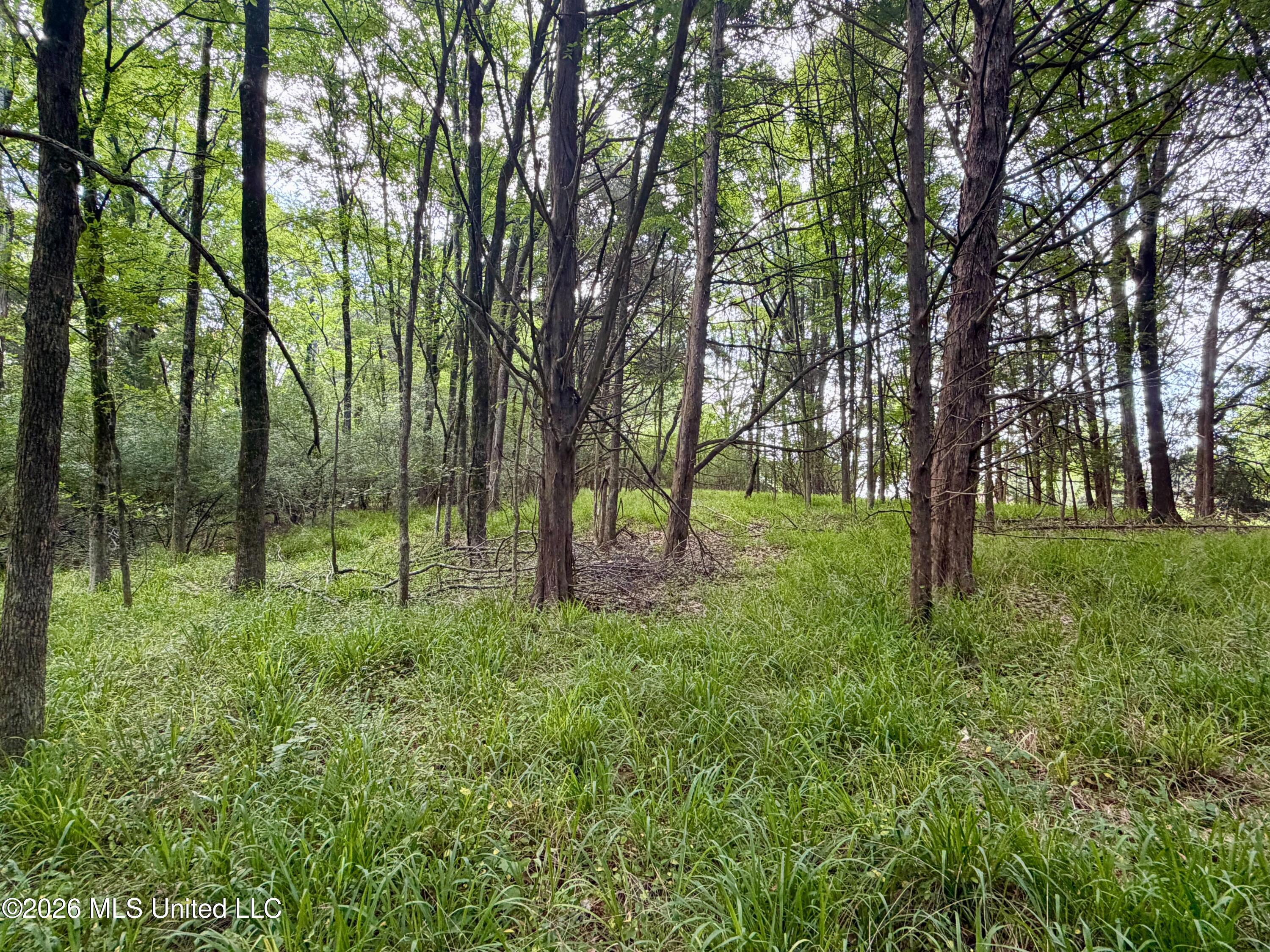 Clinton-tinnin Road Property Photo 14
