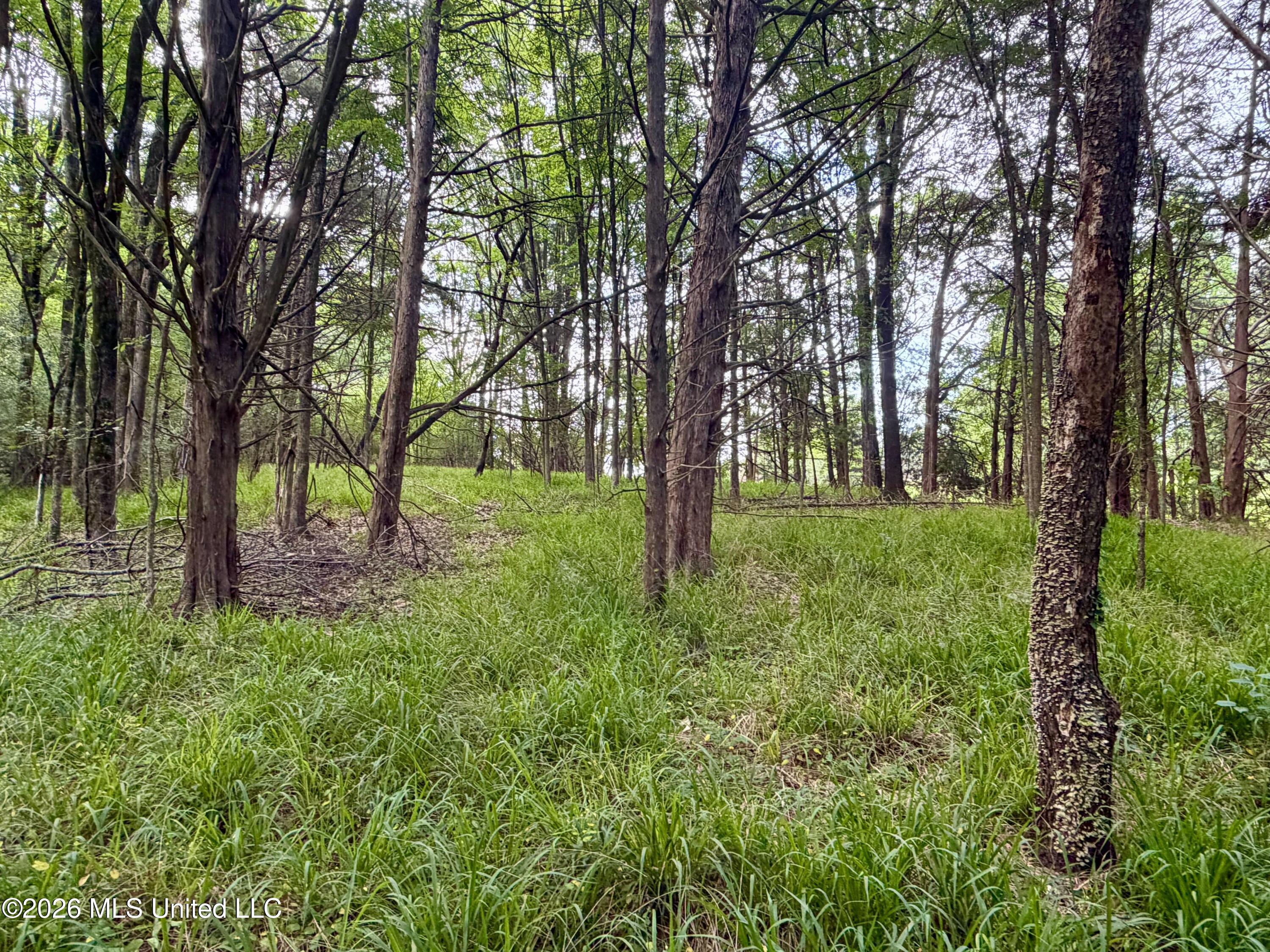 Clinton-tinnin Road Property Photo 15