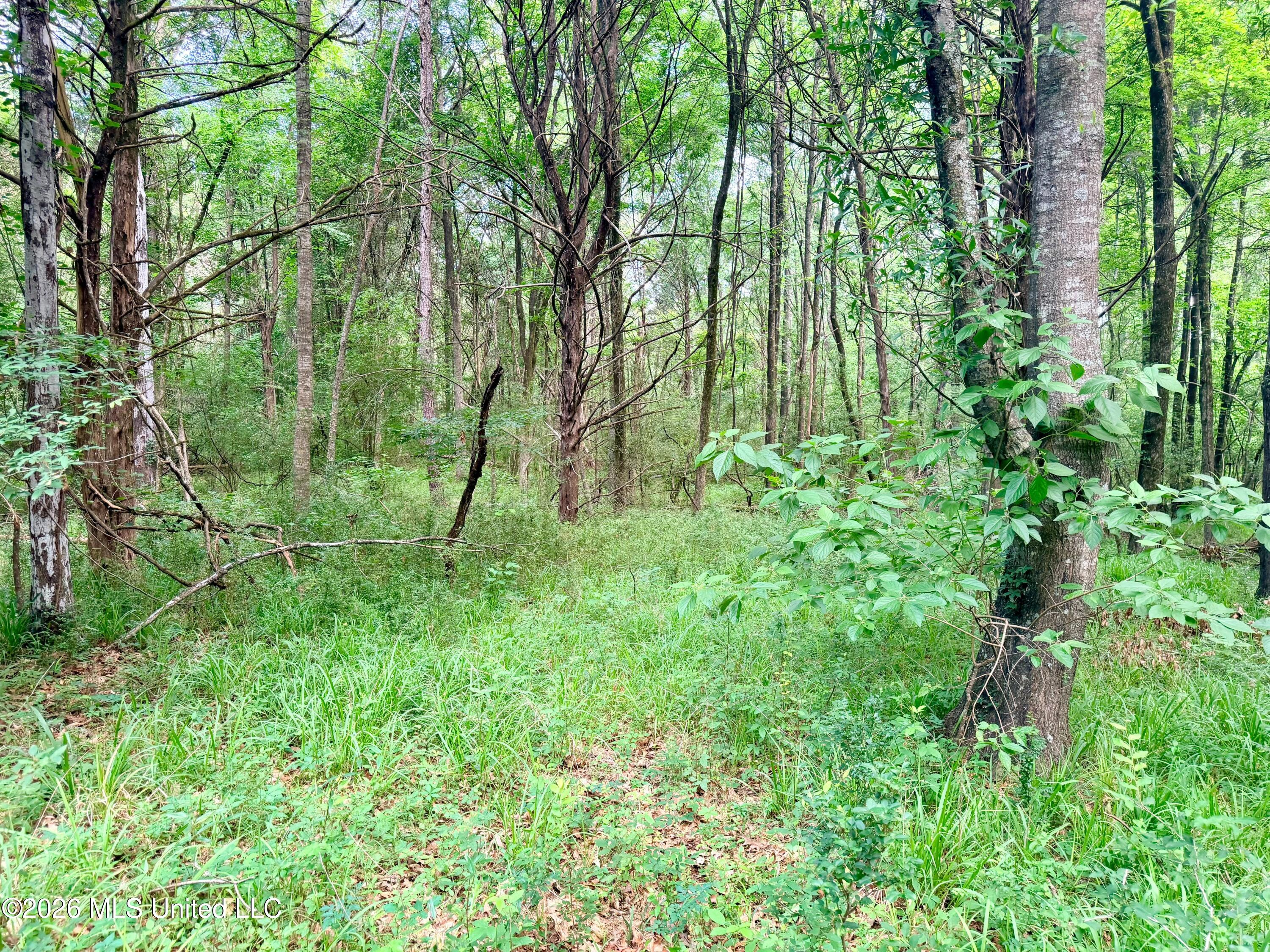 Clinton-tinnin Road Property Photo 21
