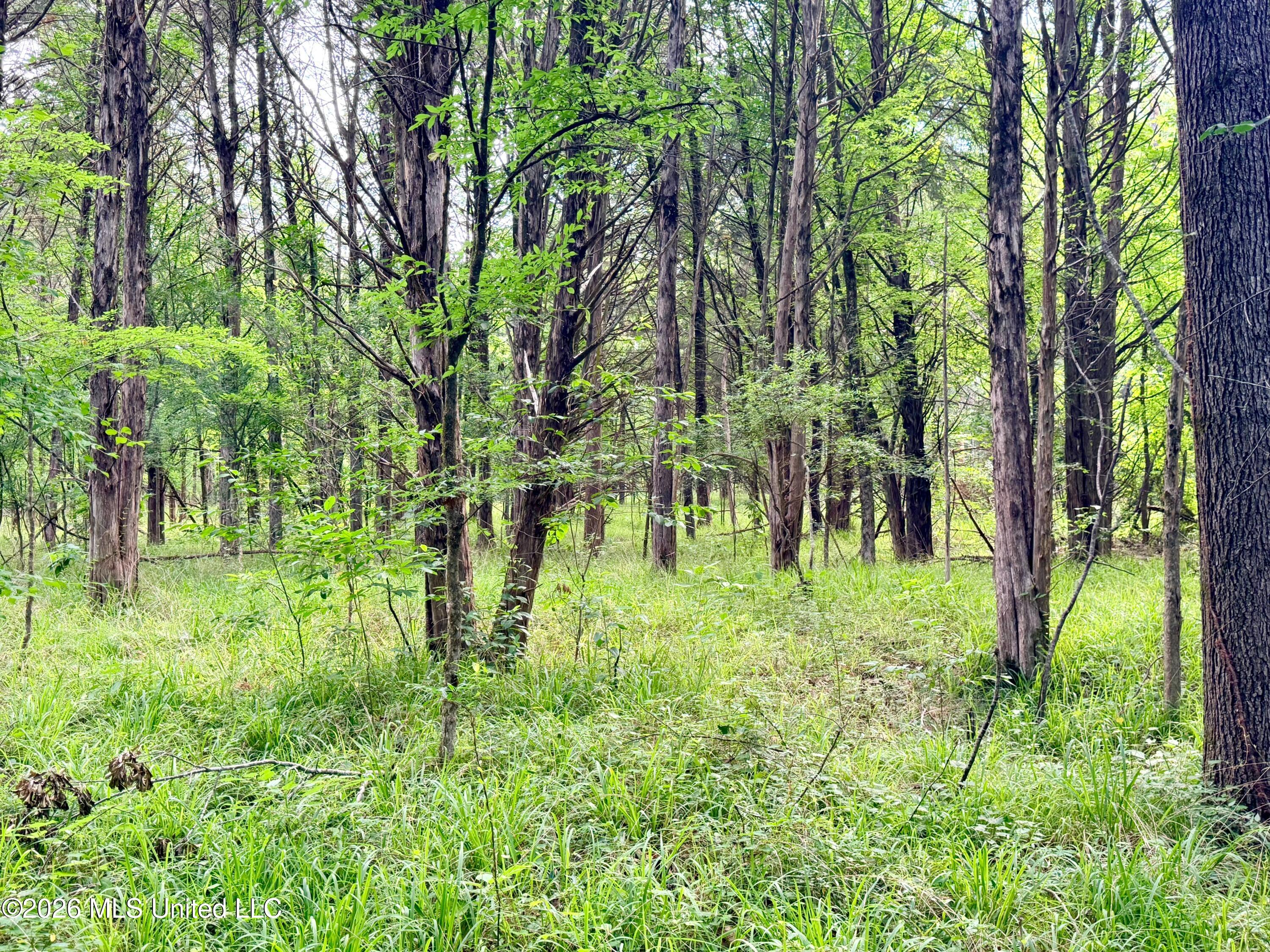 Clinton-tinnin Road Property Photo 25