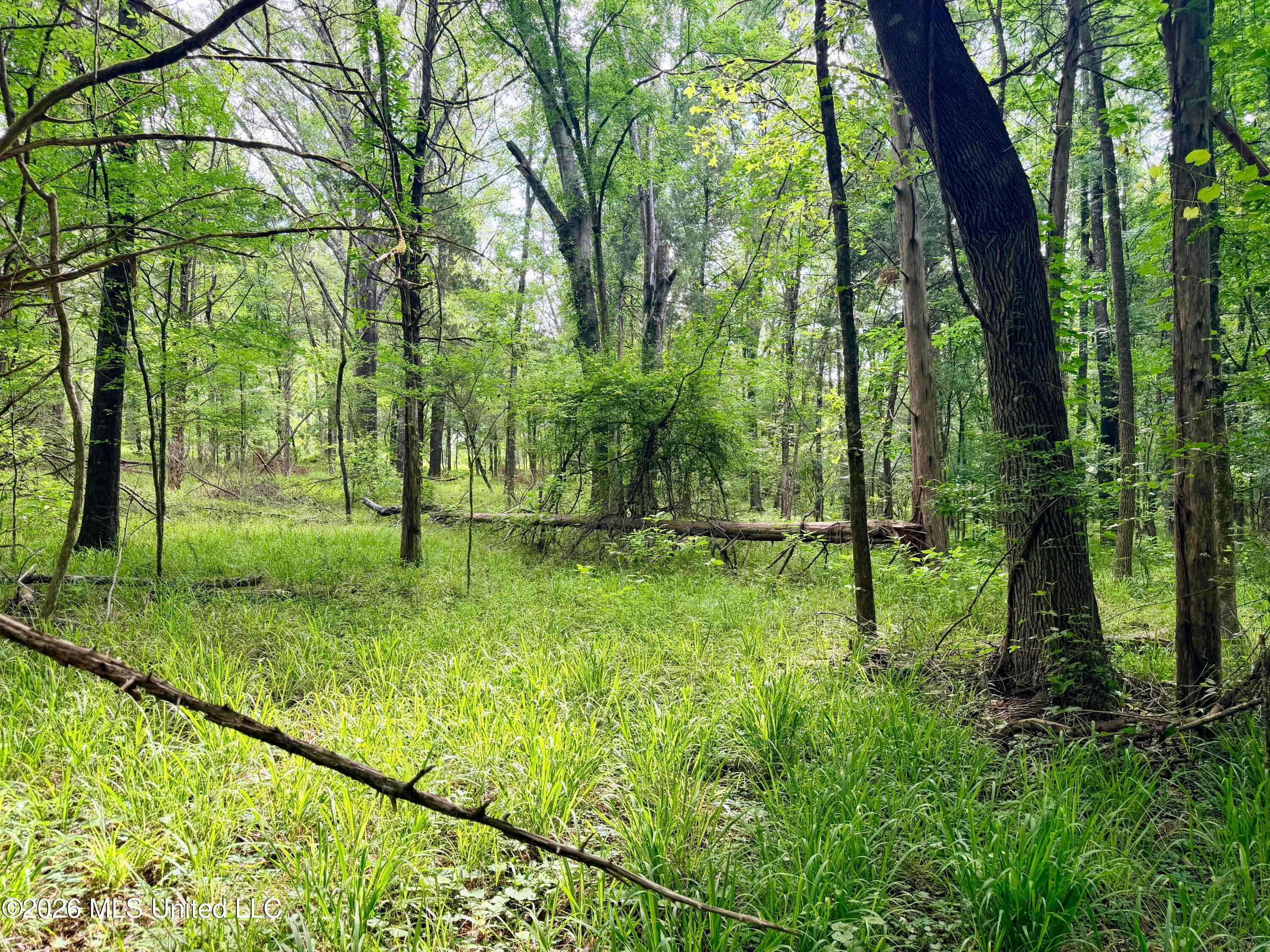 Clinton-tinnin Road Property Photo 26
