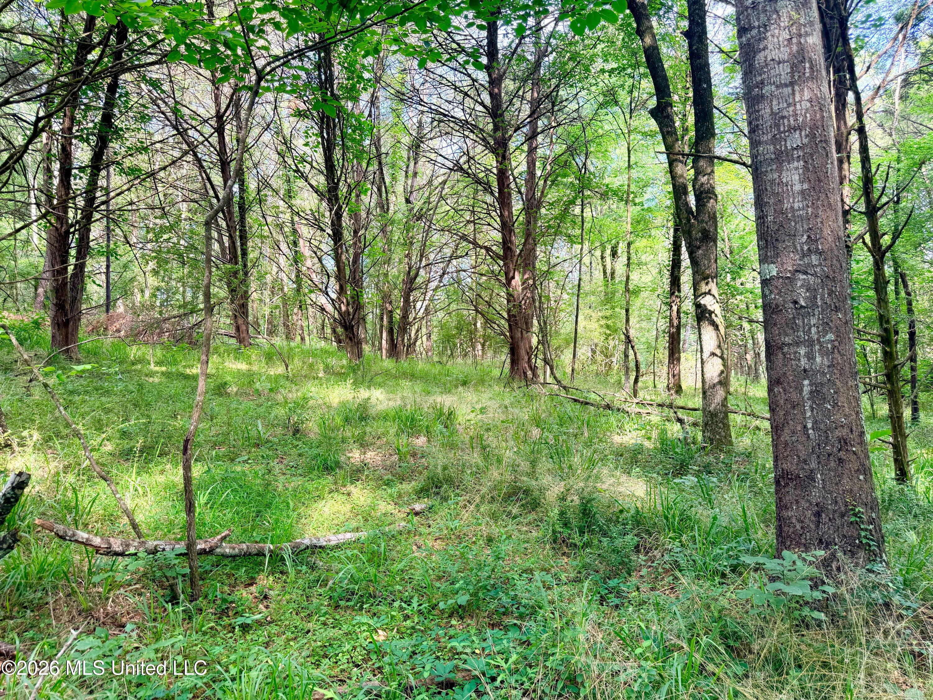 Clinton-tinnin Road Property Photo 27