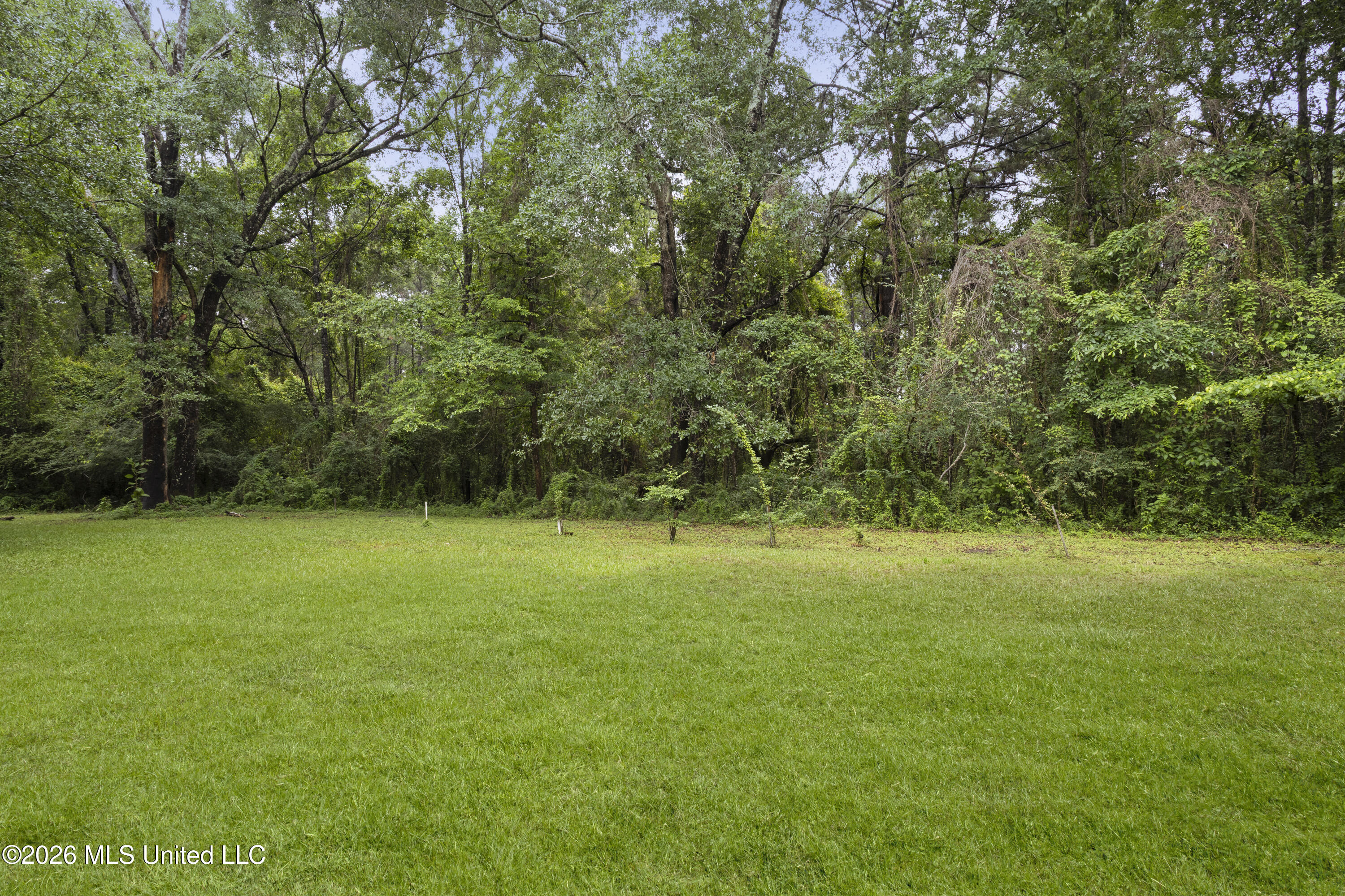 4875 Plantation Road Property Photo 21