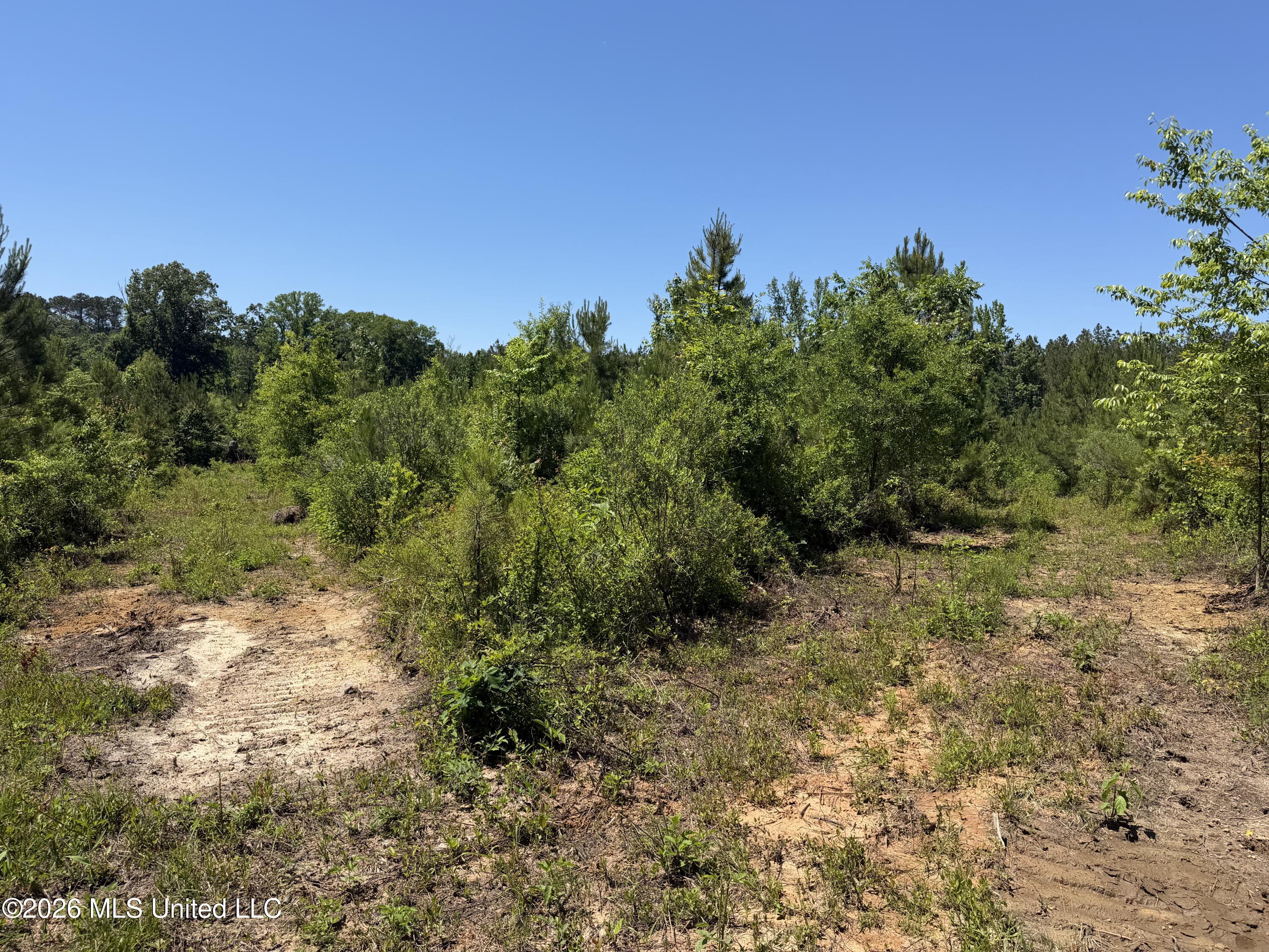 Couparle Road Property Photo 25